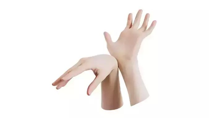 Duo Hands 024 Low-poly 3D model
