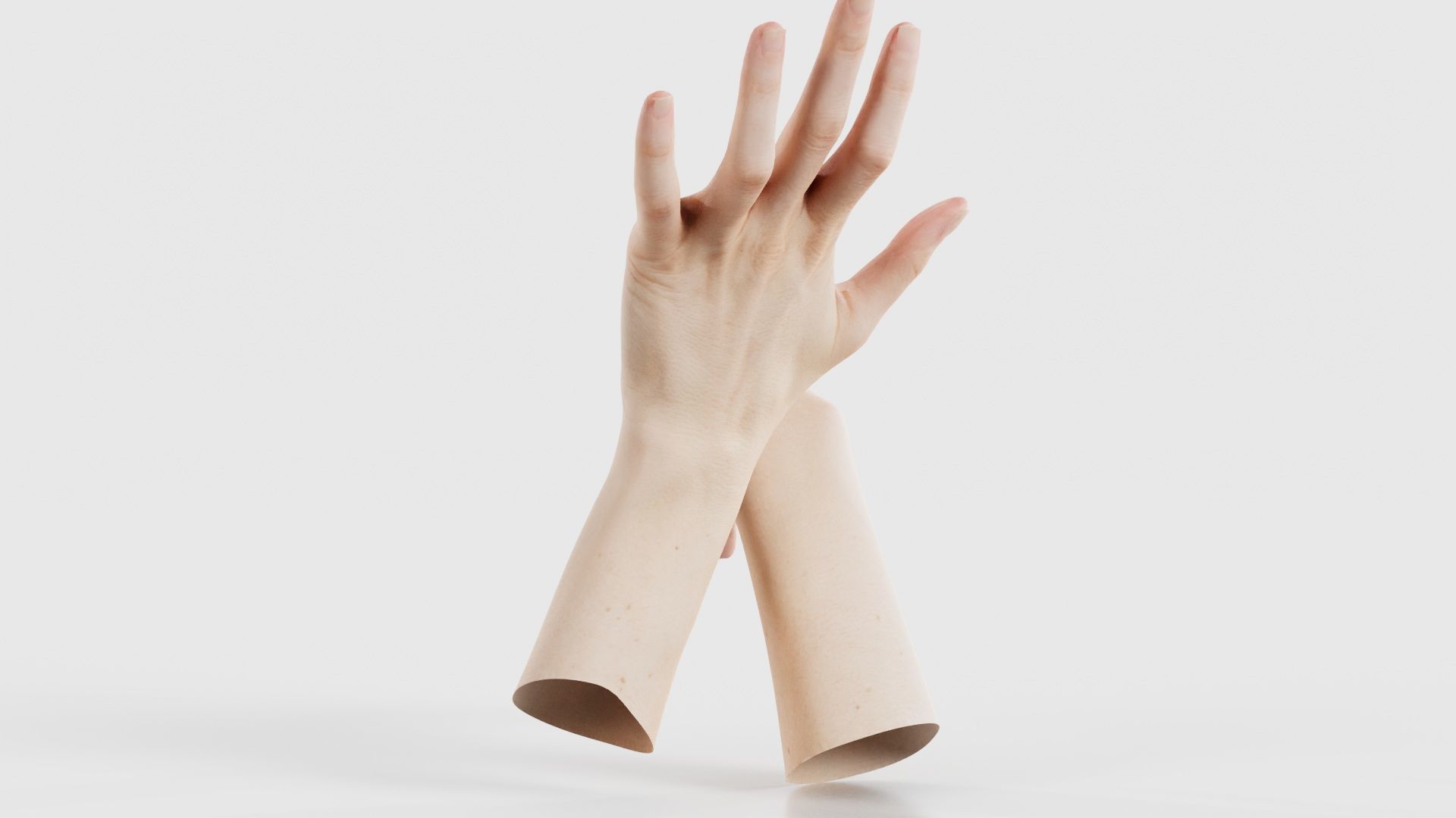 Duo Hands 024 Low-poly 3D model_23