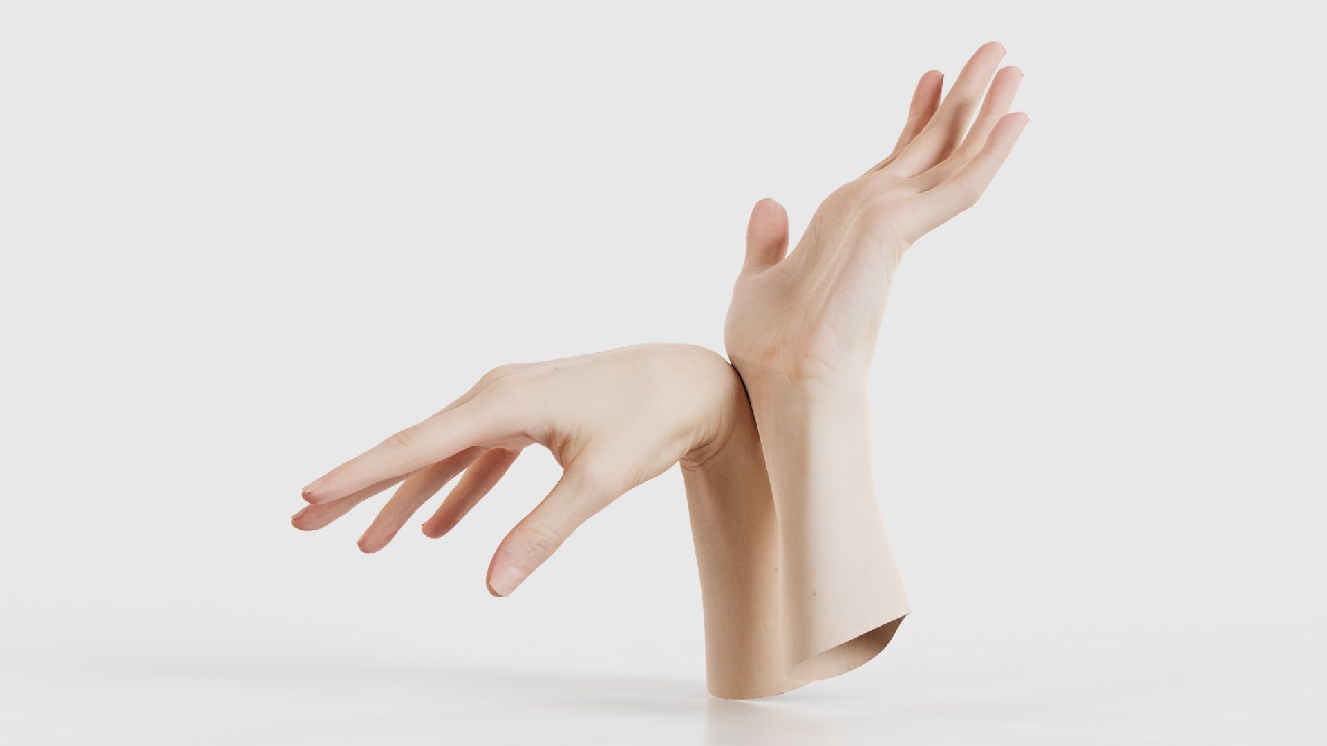 Duo Hands 024 Low-poly 3D model_26