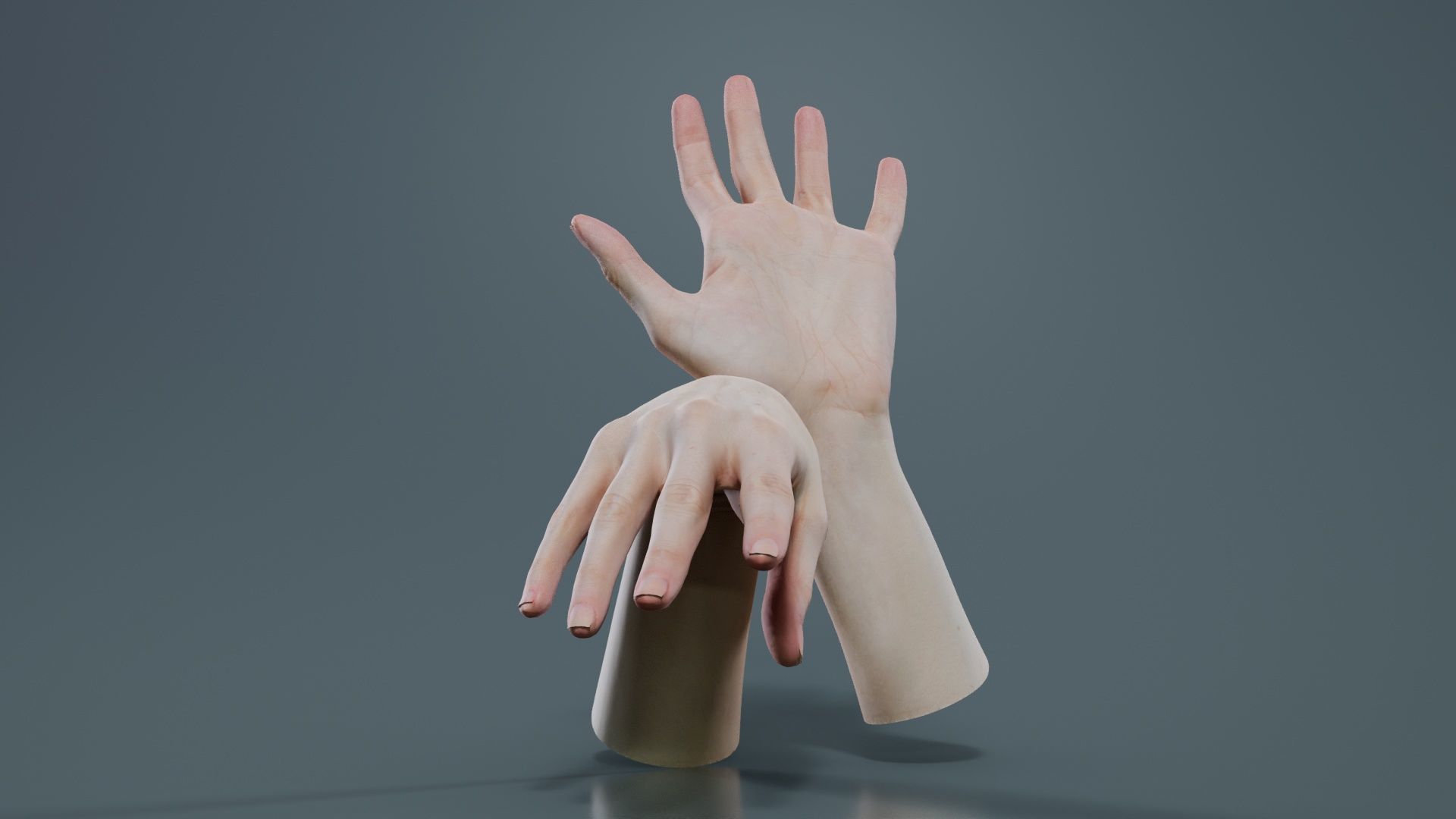 Duo Hands 024 Low-poly 3D model_6