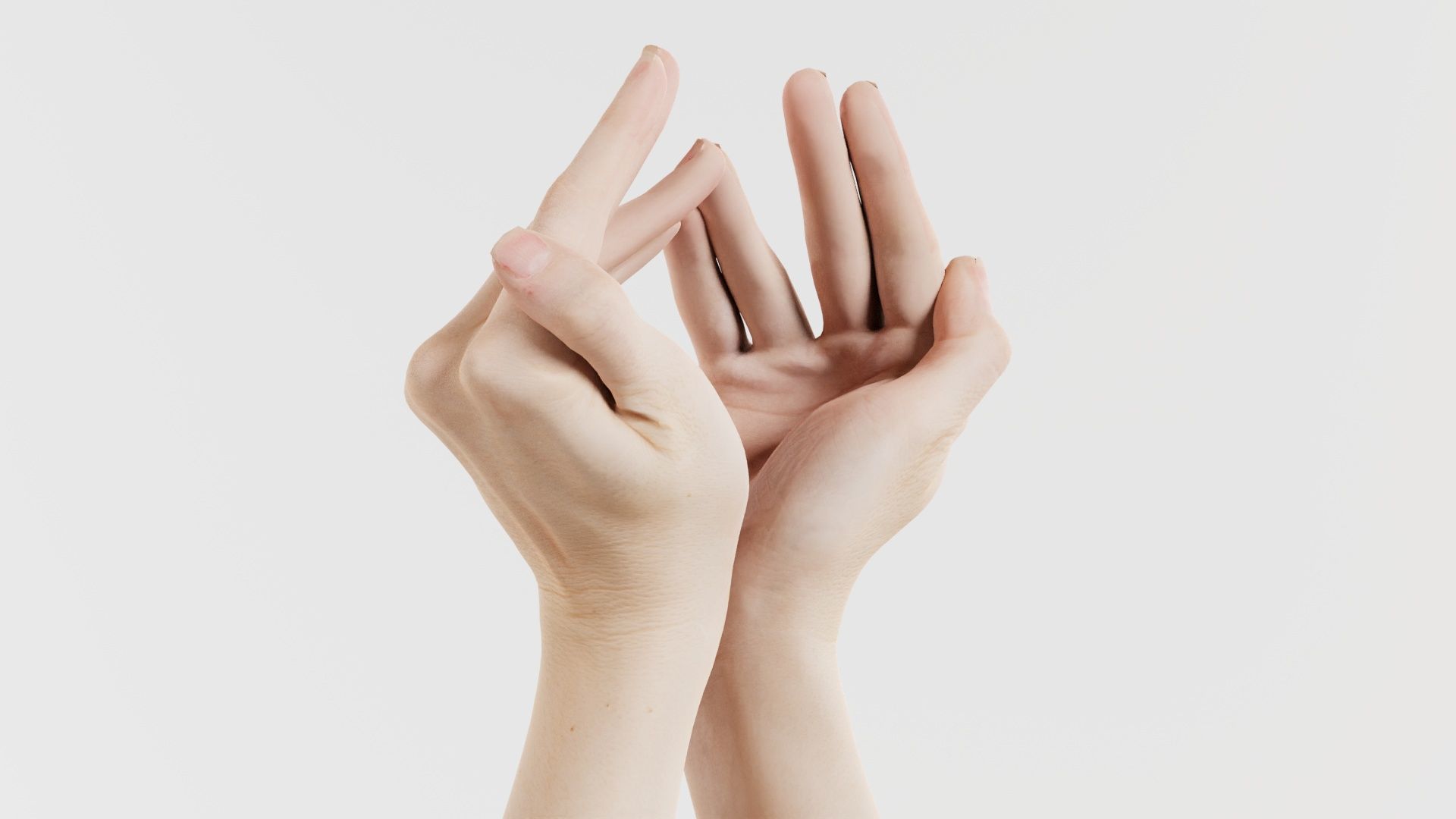 Duo Hands 026 Low-poly 3D model_6