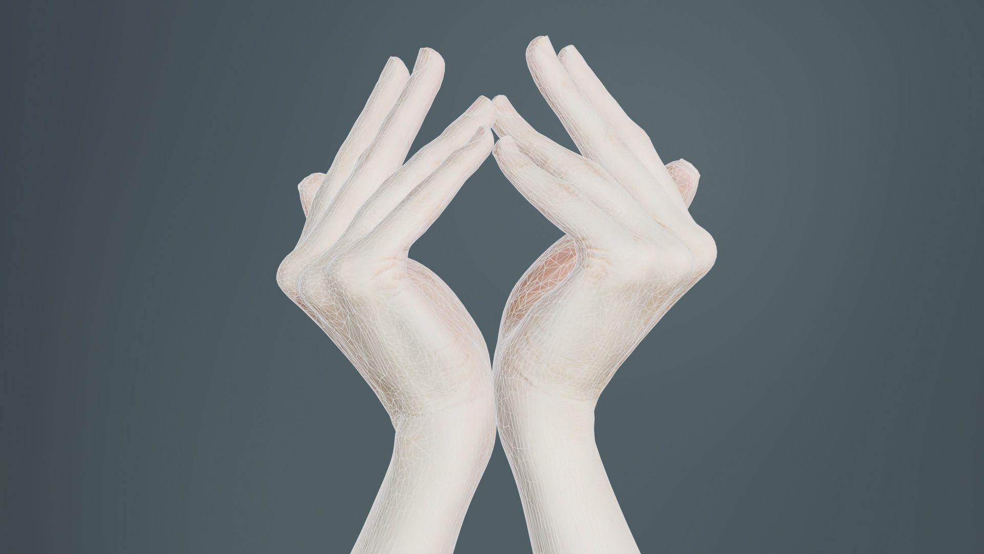 Duo Hands 026 Low-poly 3D model_9