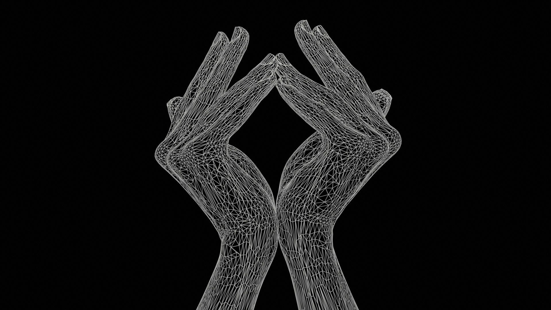 Duo Hands 026 Low-poly 3D model_11