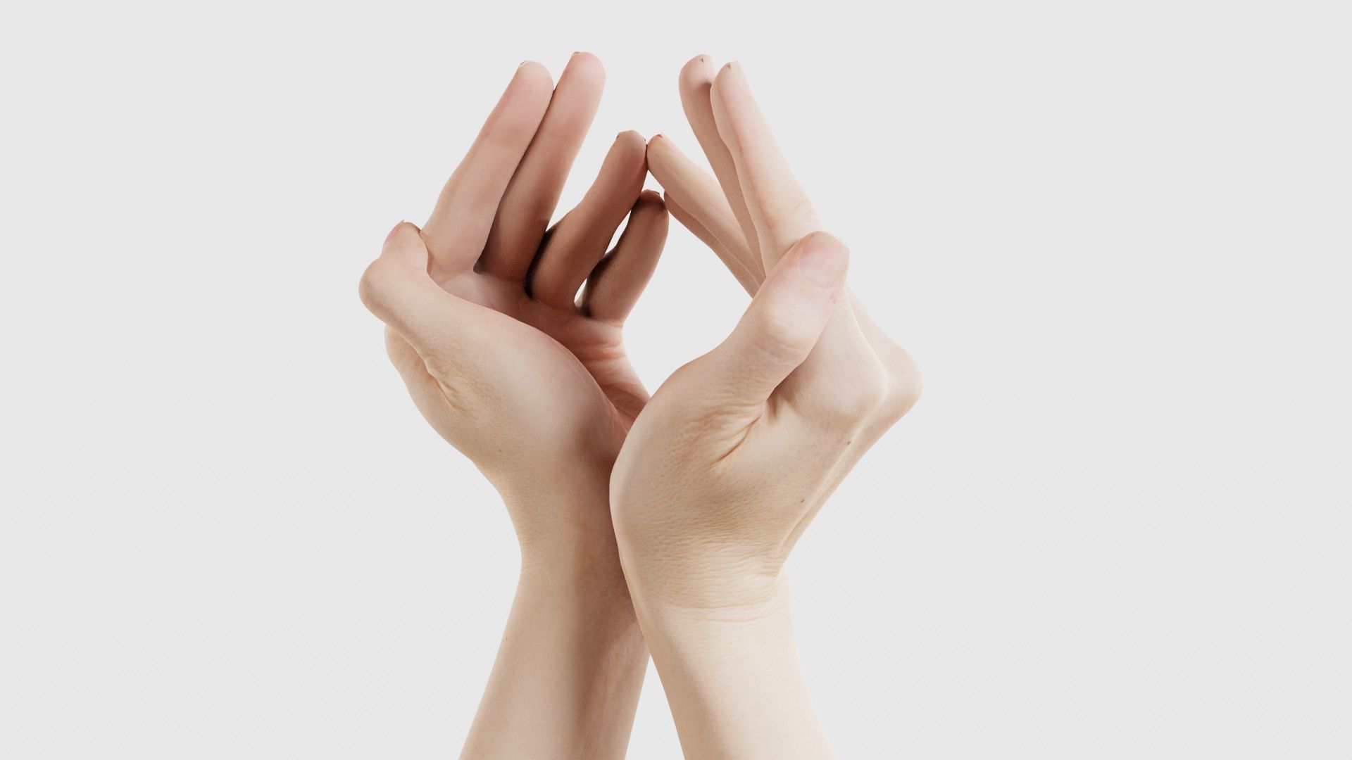 Duo Hands 026 Low-poly 3D model_20