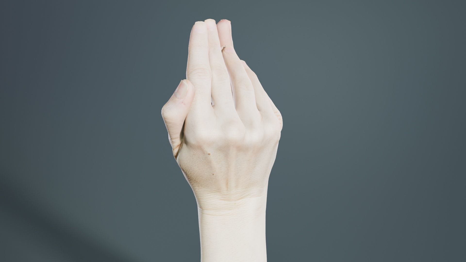 Duo Hands 026 Low-poly 3D model_4