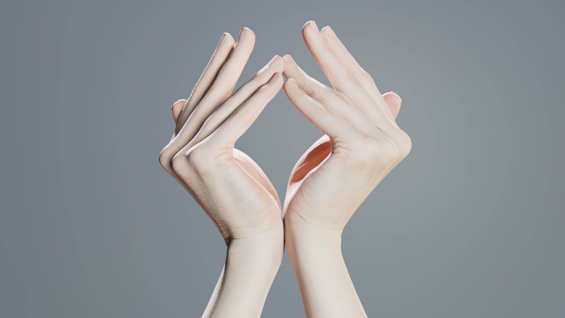 Duo Hands 026 Low-poly 3D model_3