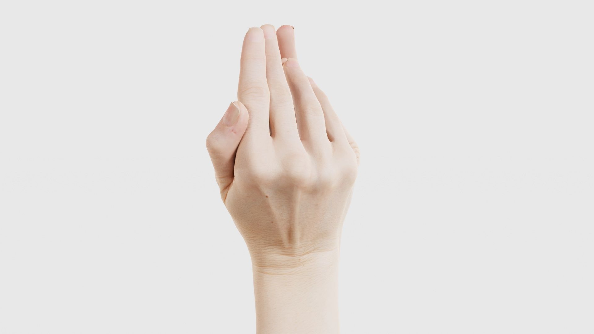 Duo Hands 026 Low-poly 3D model_18