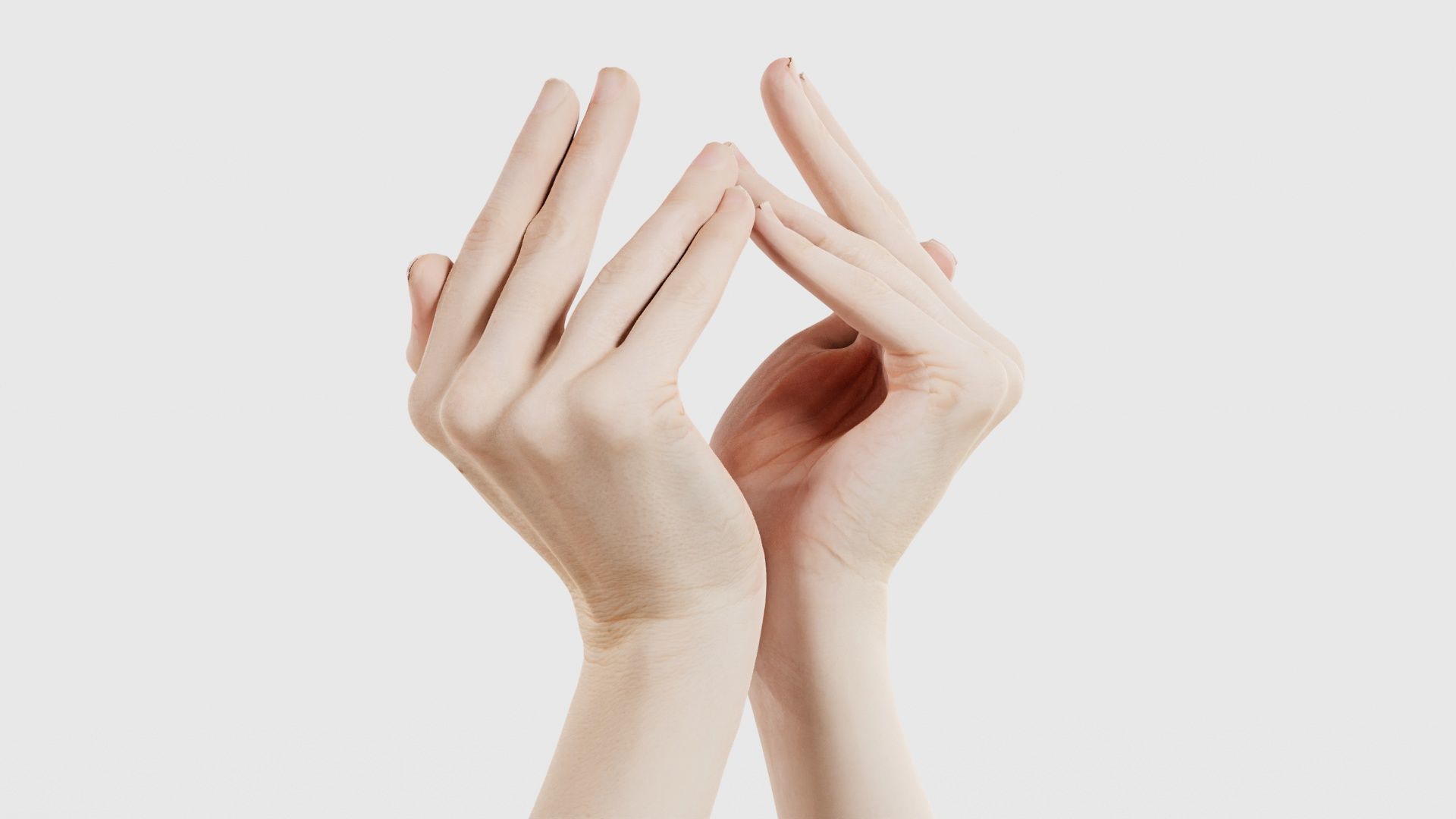 Duo Hands 026 Low-poly 3D model_16