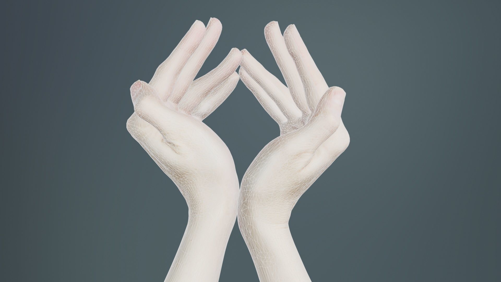 Duo Hands 026 Low-poly 3D model_10