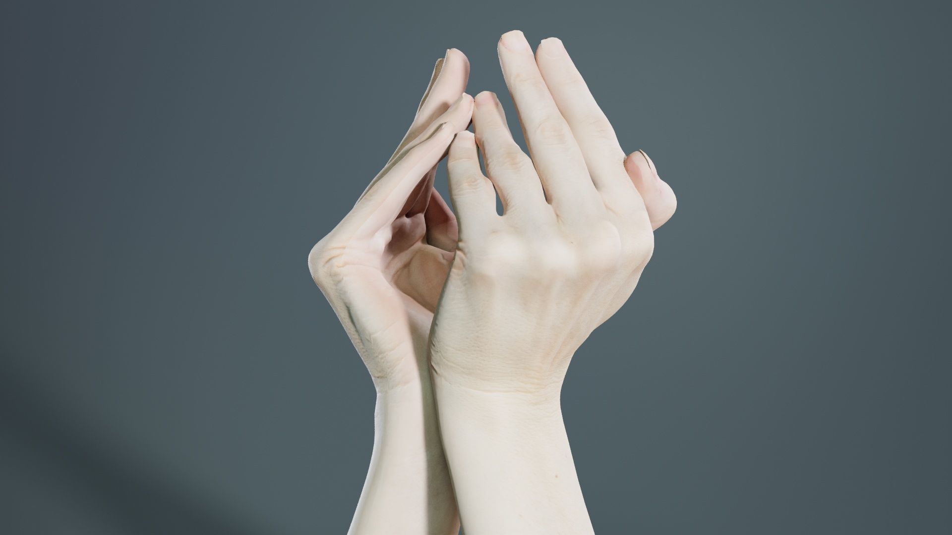 Duo Hands 026 Low-poly 3D model_8