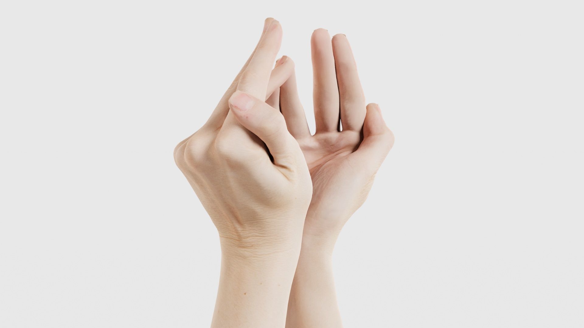 Duo Hands 026 Low-poly 3D model_23