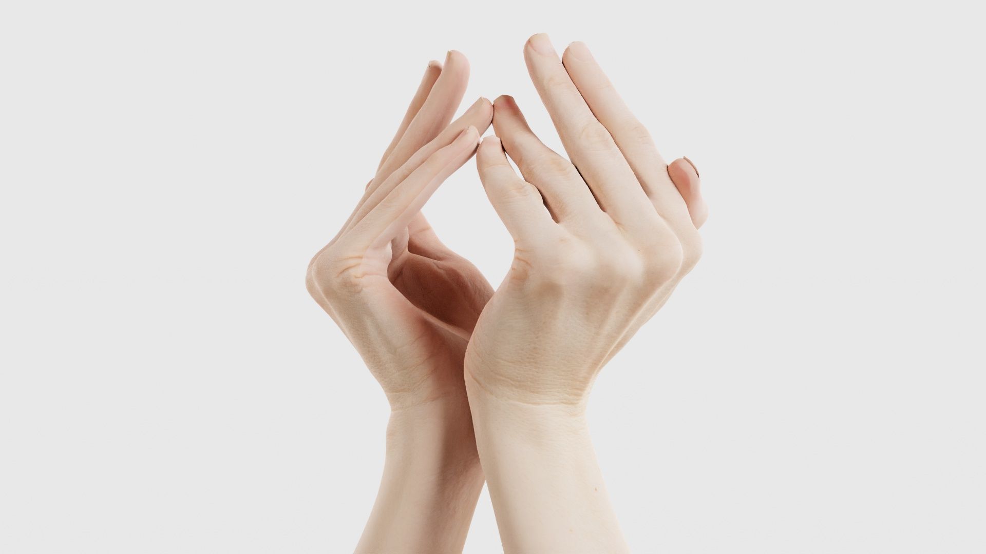 Duo Hands 026 Low-poly 3D model_26