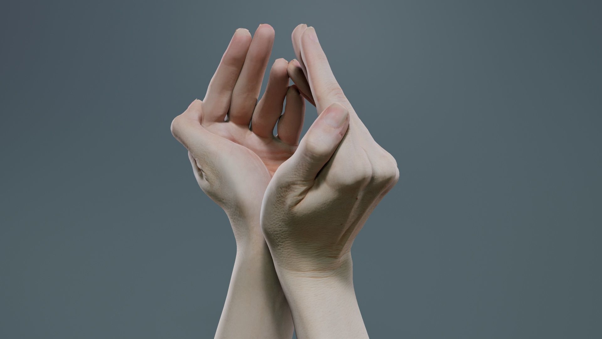 Duo Hands 026 Low-poly 3D model_7