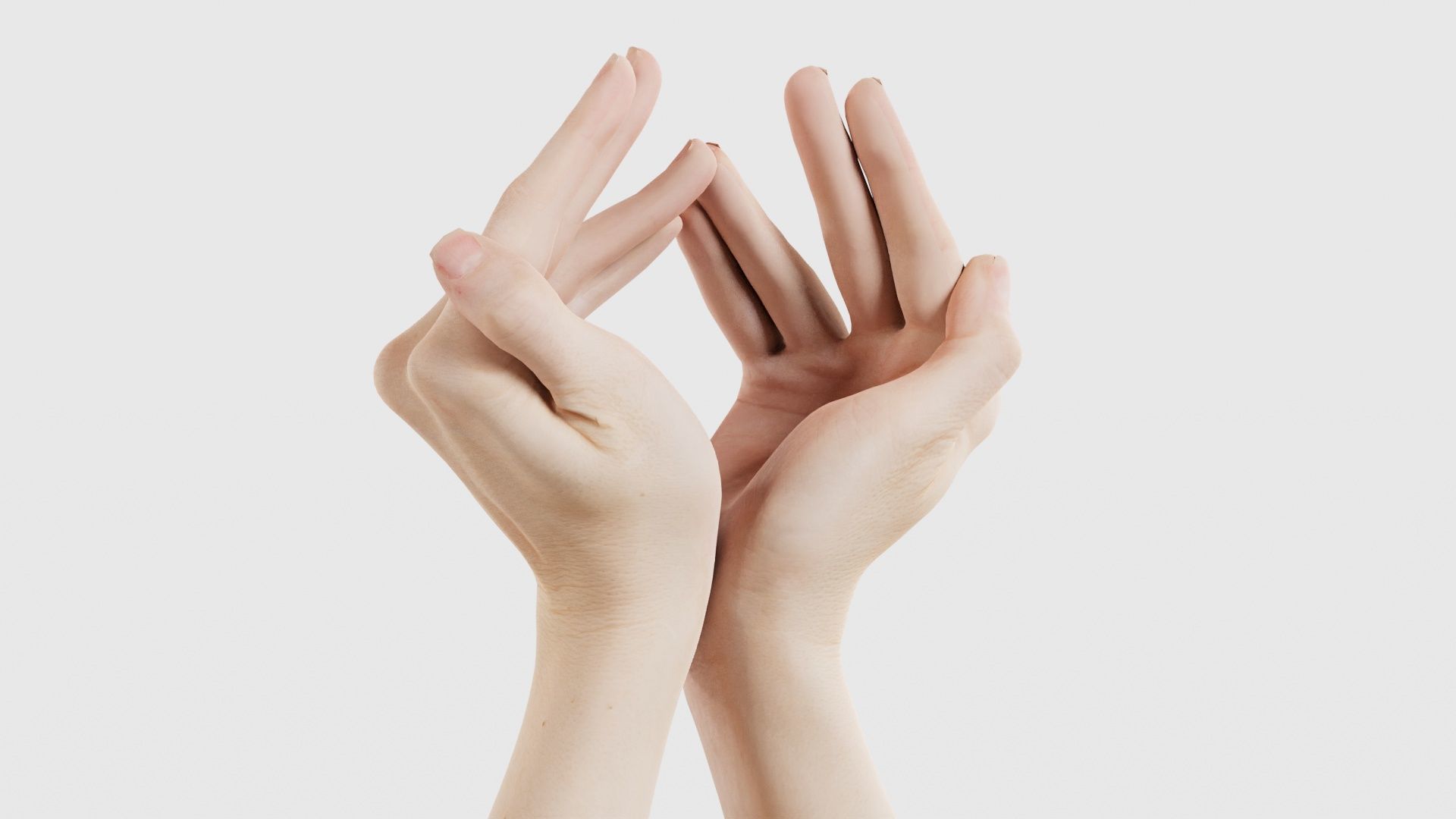 Duo Hands 026 Low-poly 3D model_22