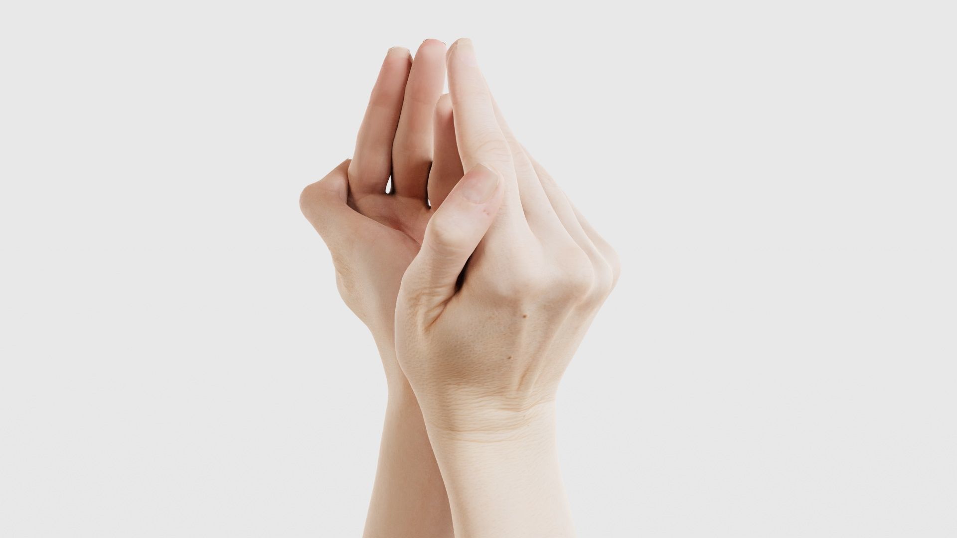 Duo Hands 026 Low-poly 3D model_19