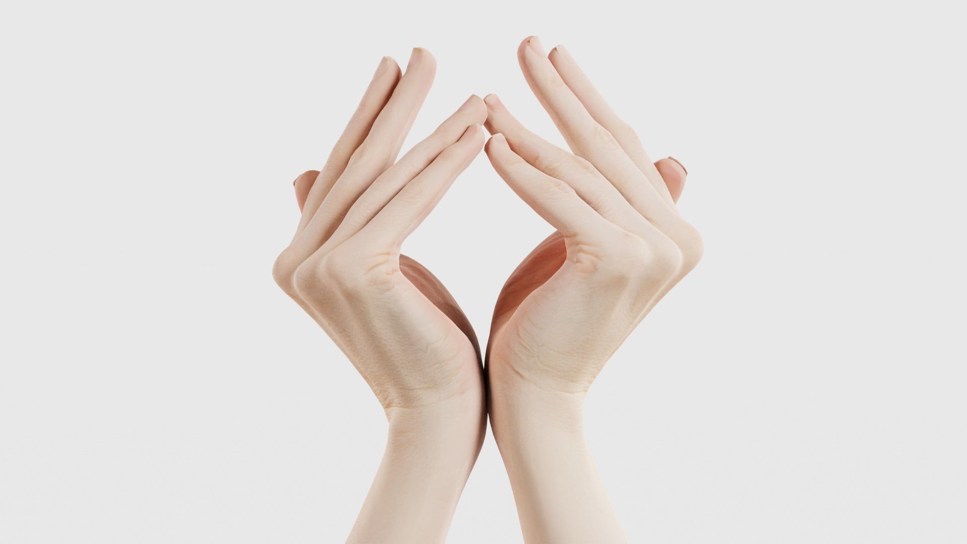 Duo Hands 026 Low-poly 3D model_15