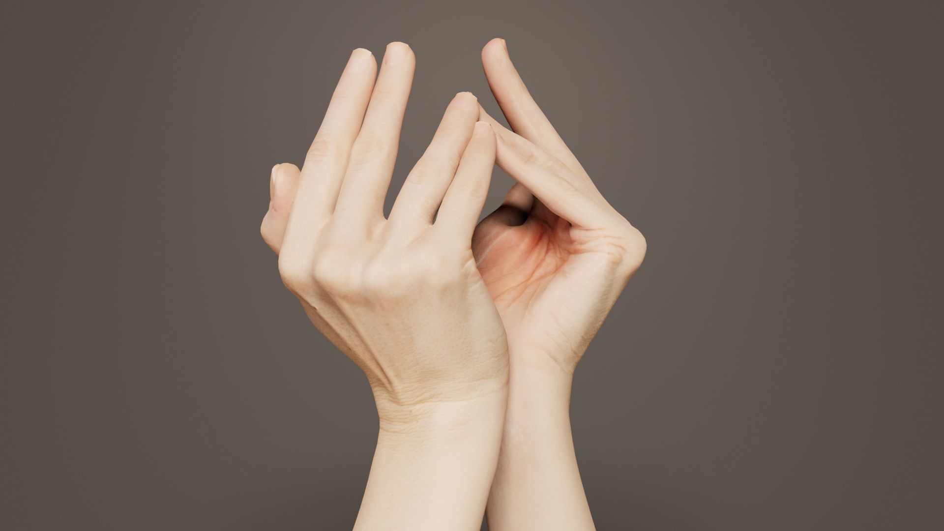 Duo Hands 026 Low-poly 3D model_2