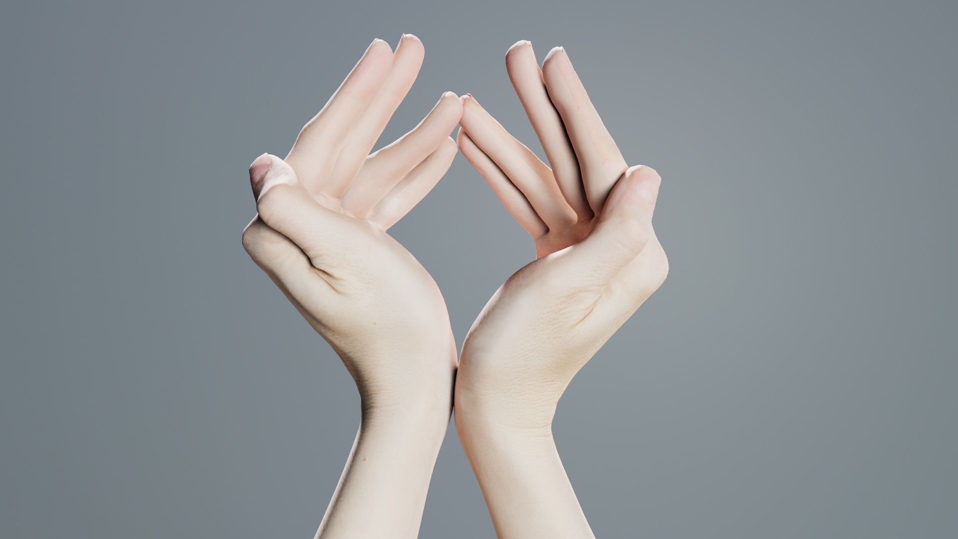 Duo Hands 026 Low-poly 3D model_1