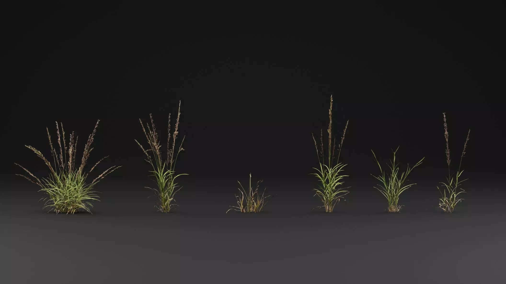Grass 3D model_1