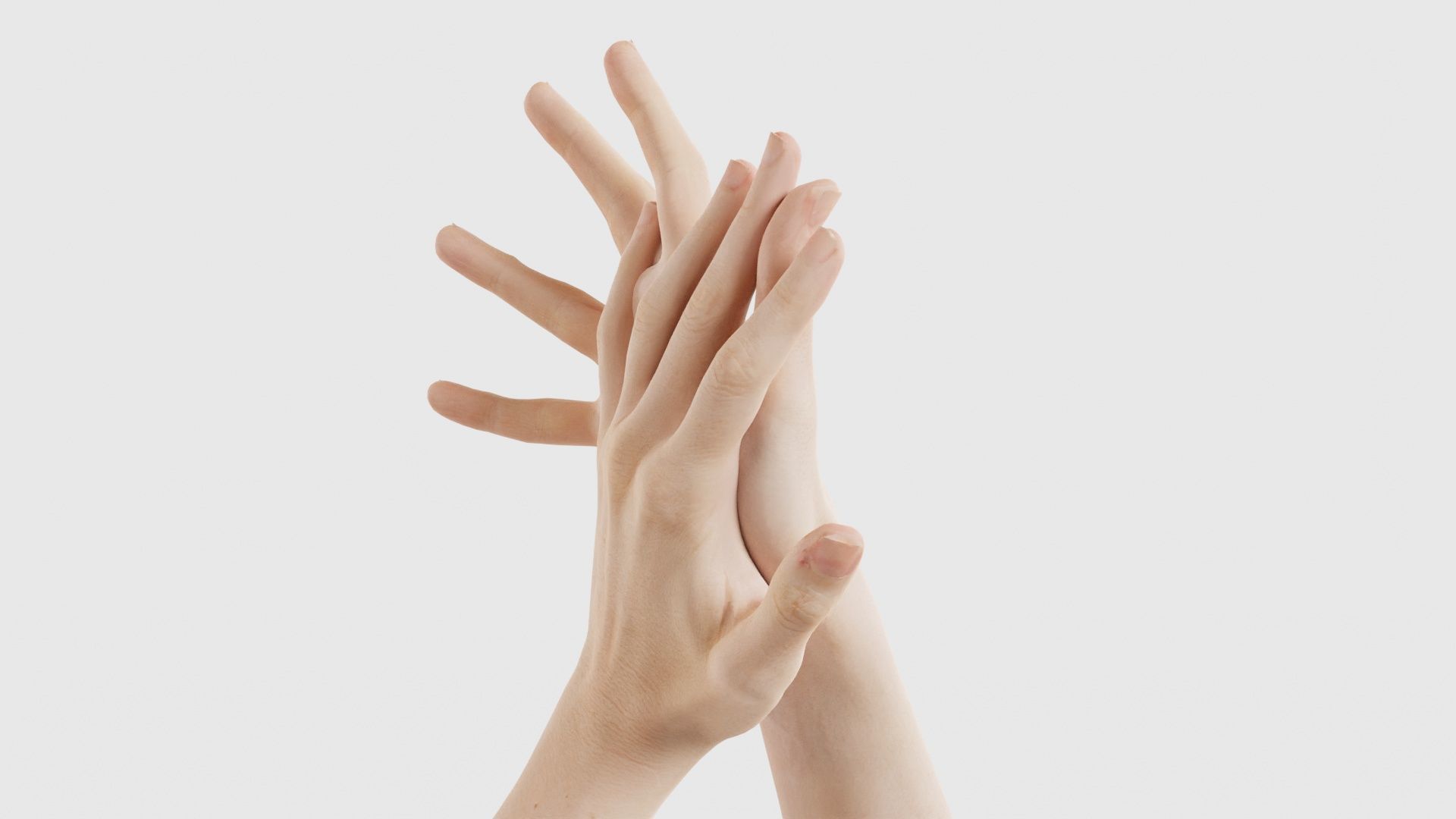 Duo Hands 027 Low-poly 3D model_25