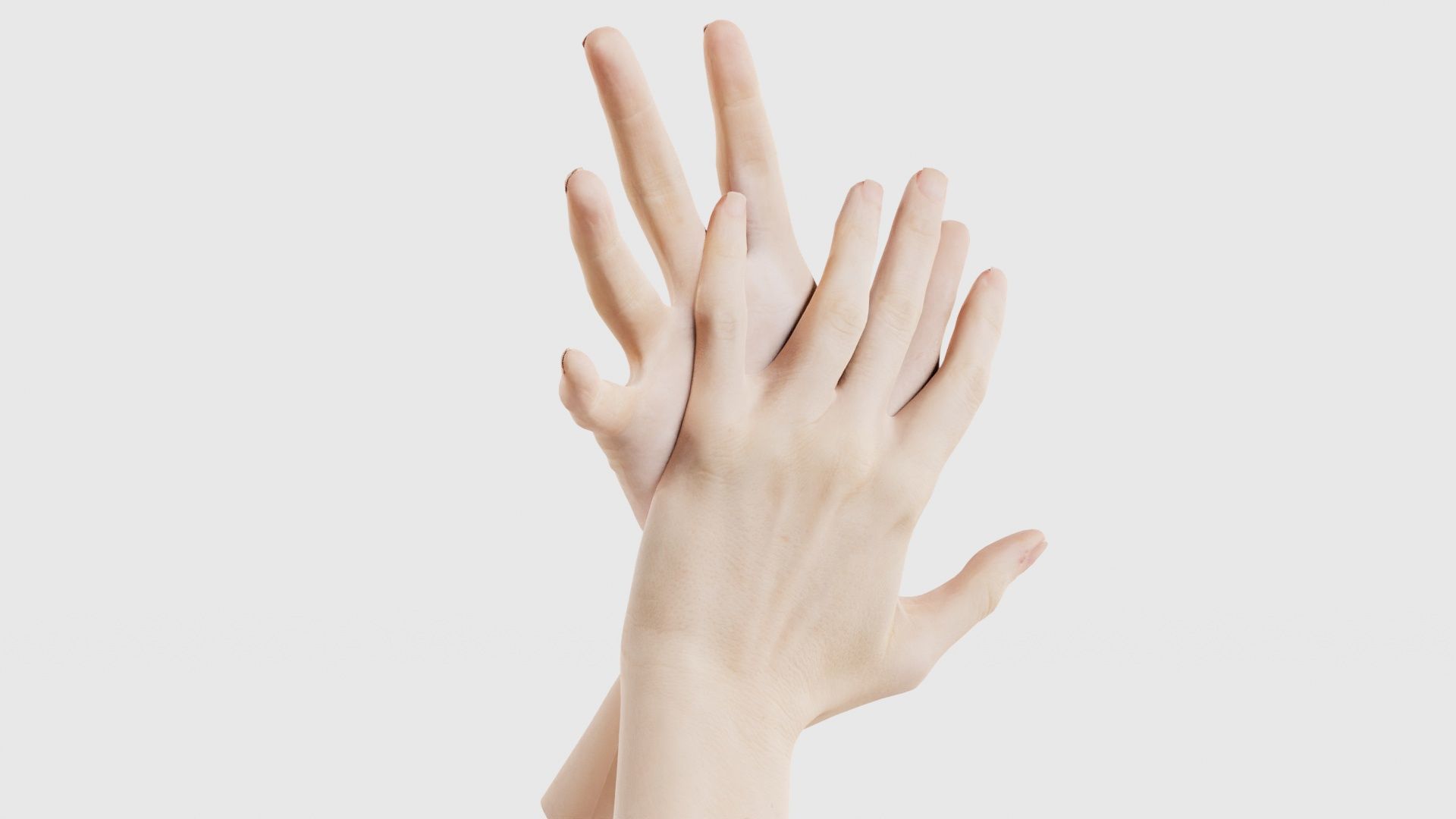 Duo Hands 027 Low-poly 3D model_16