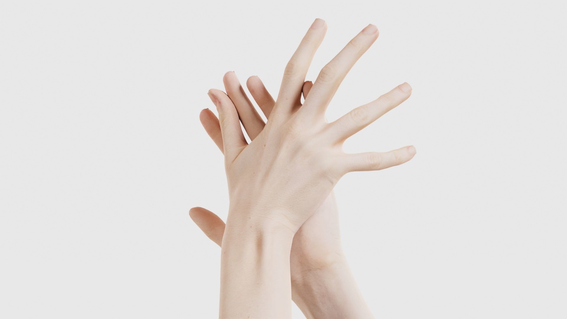 Duo Hands 027 Low-poly 3D model_20