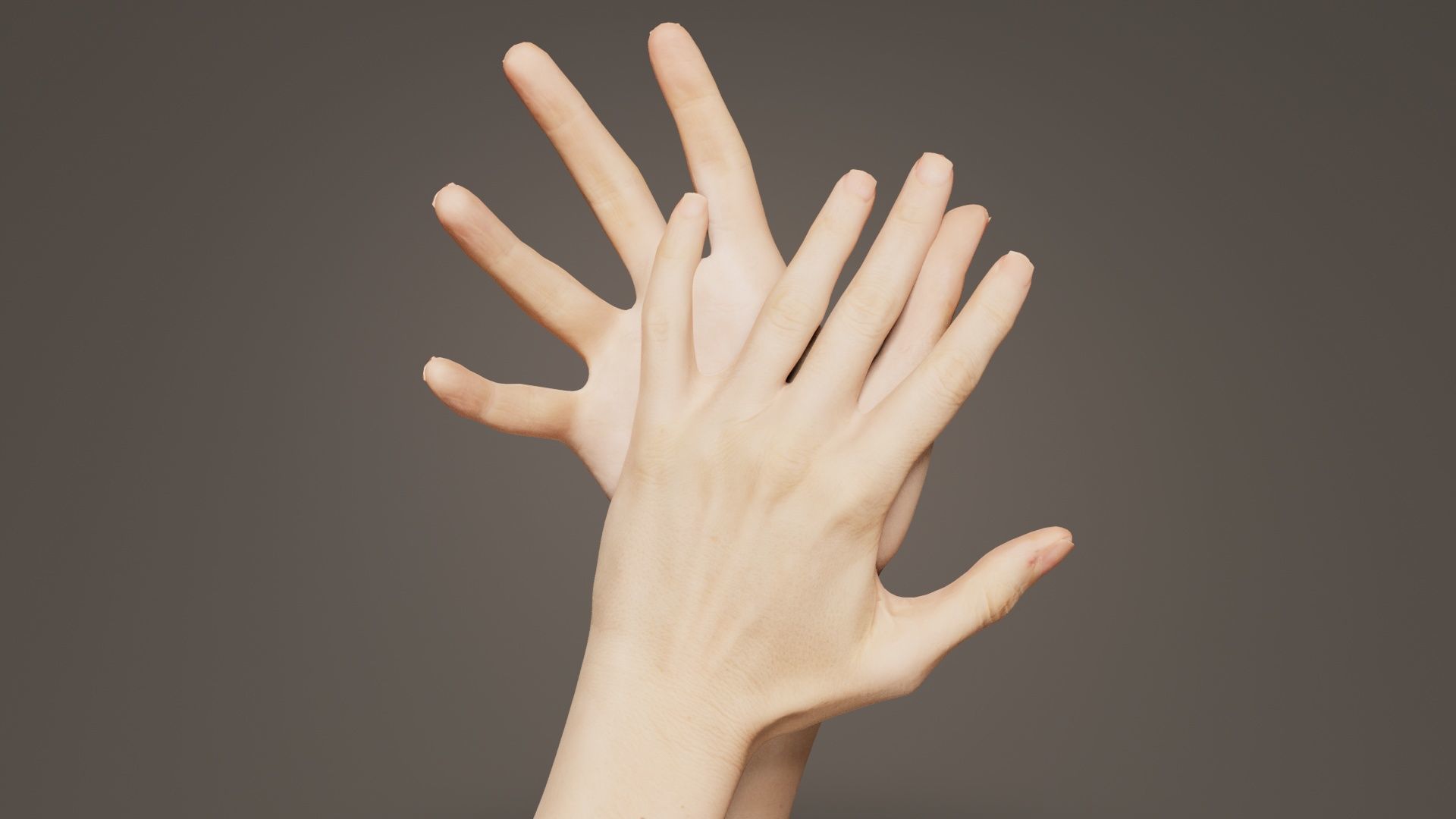 Duo Hands 027 Low-poly 3D model_8