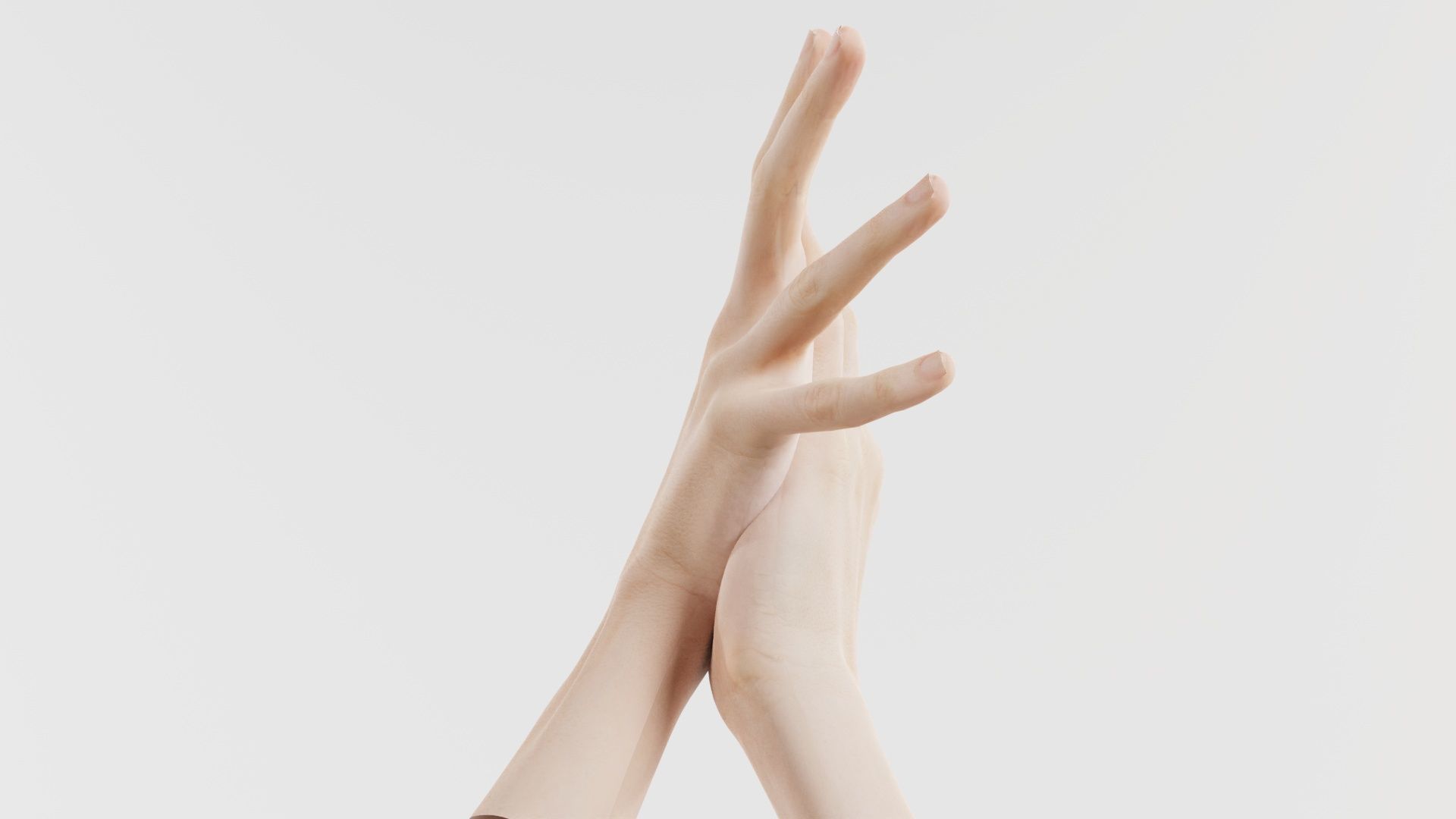 Duo Hands 027 Low-poly 3D model_6