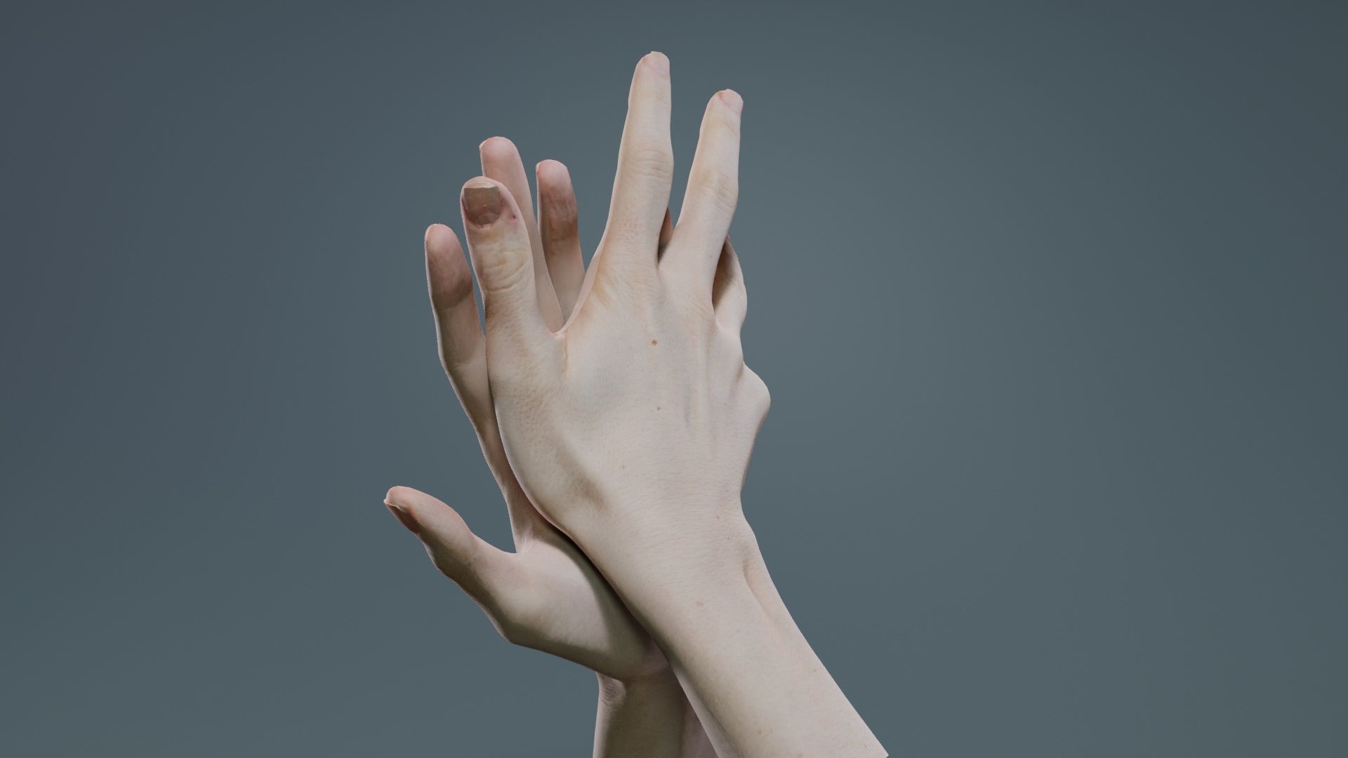 Duo Hands 027 Low-poly 3D model_5