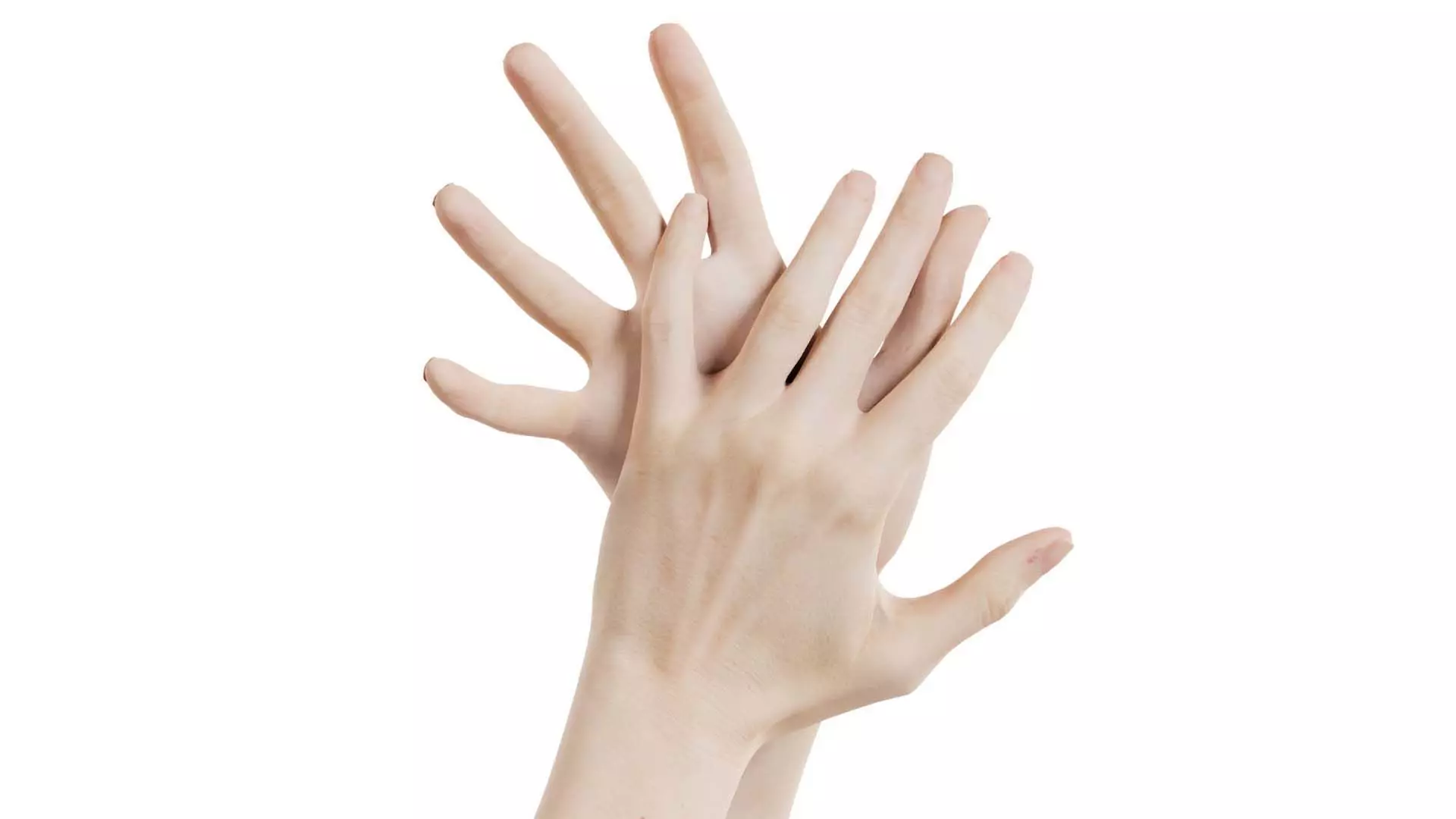 Duo Hands 027 Low-poly 3D model_0