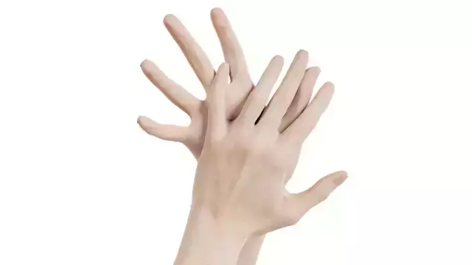 Duo Hands 027 Low-poly 3D model