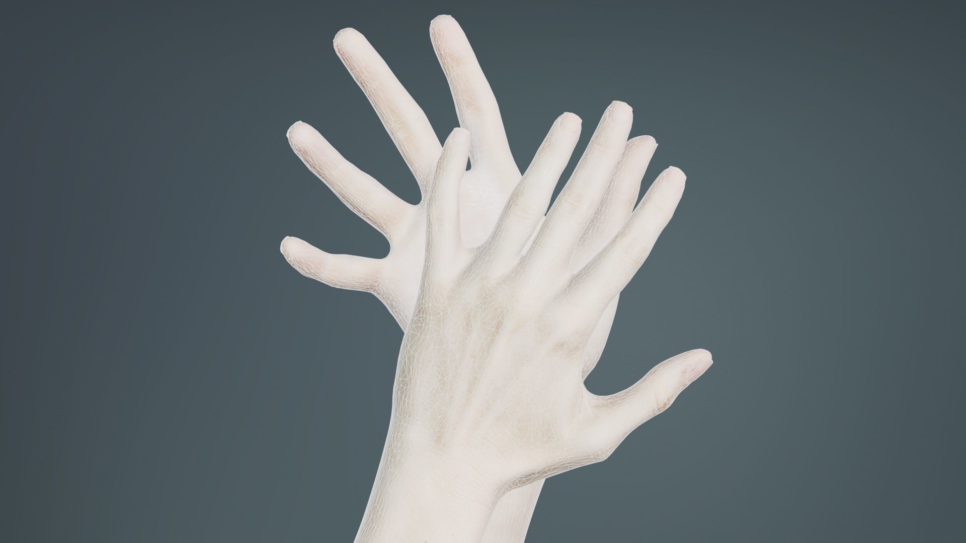 Duo Hands 027 Low-poly 3D model_9