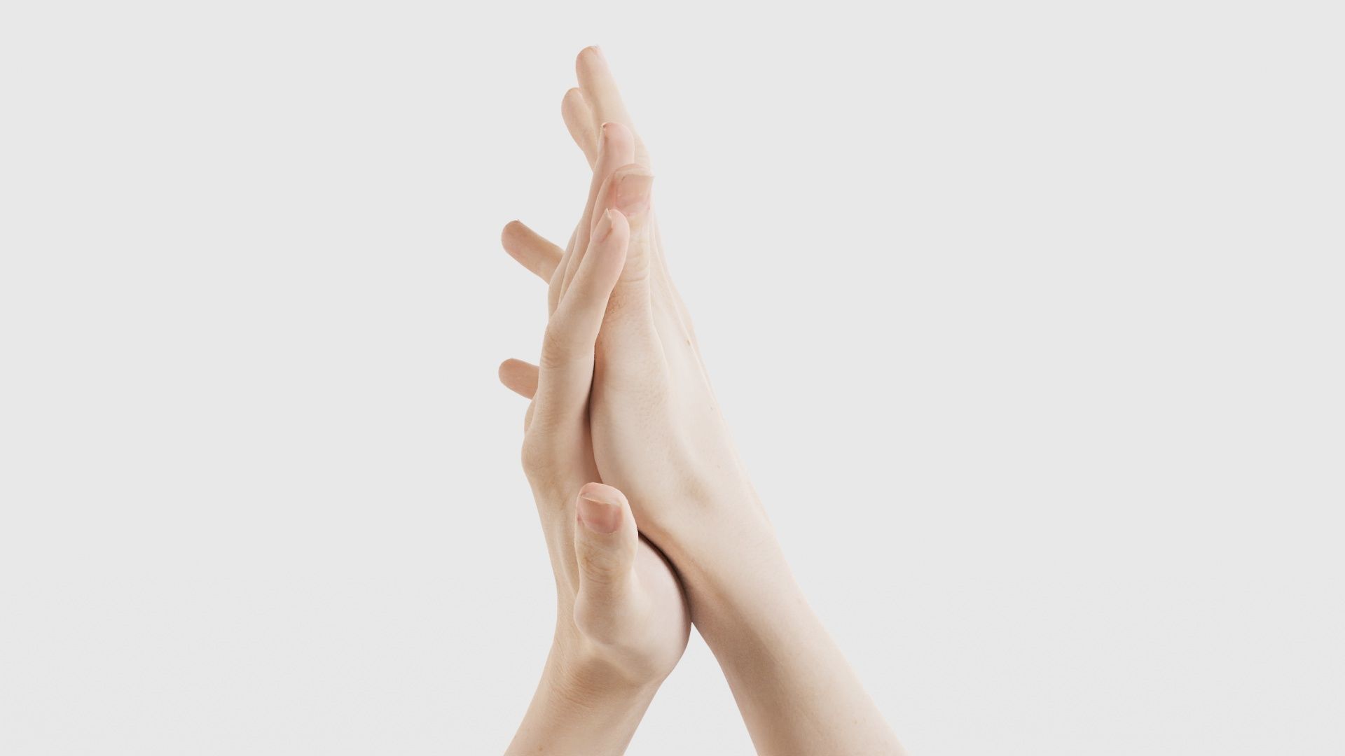 Duo Hands 027 Low-poly 3D model_24