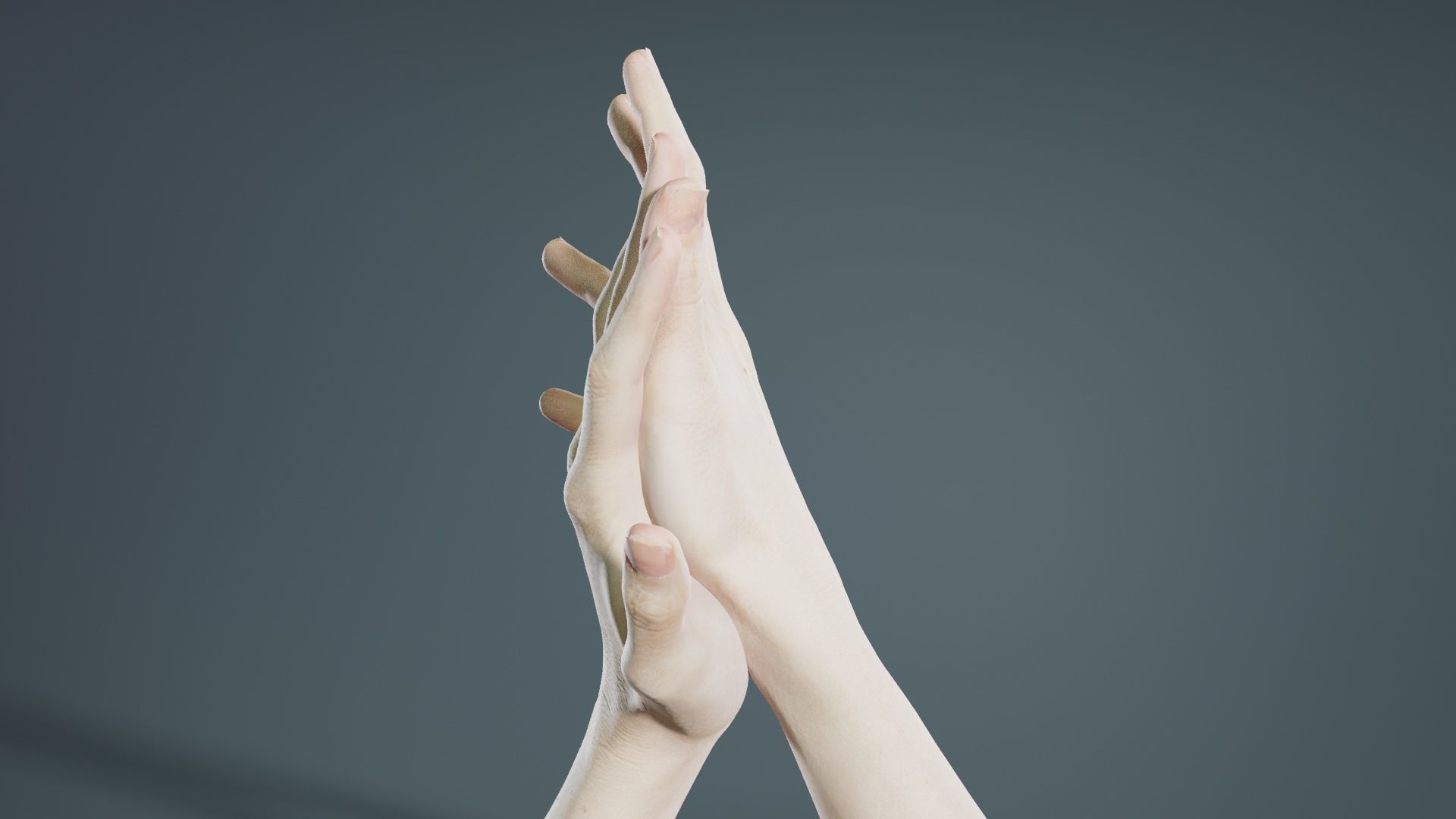 Duo Hands 027 Low-poly 3D model_2