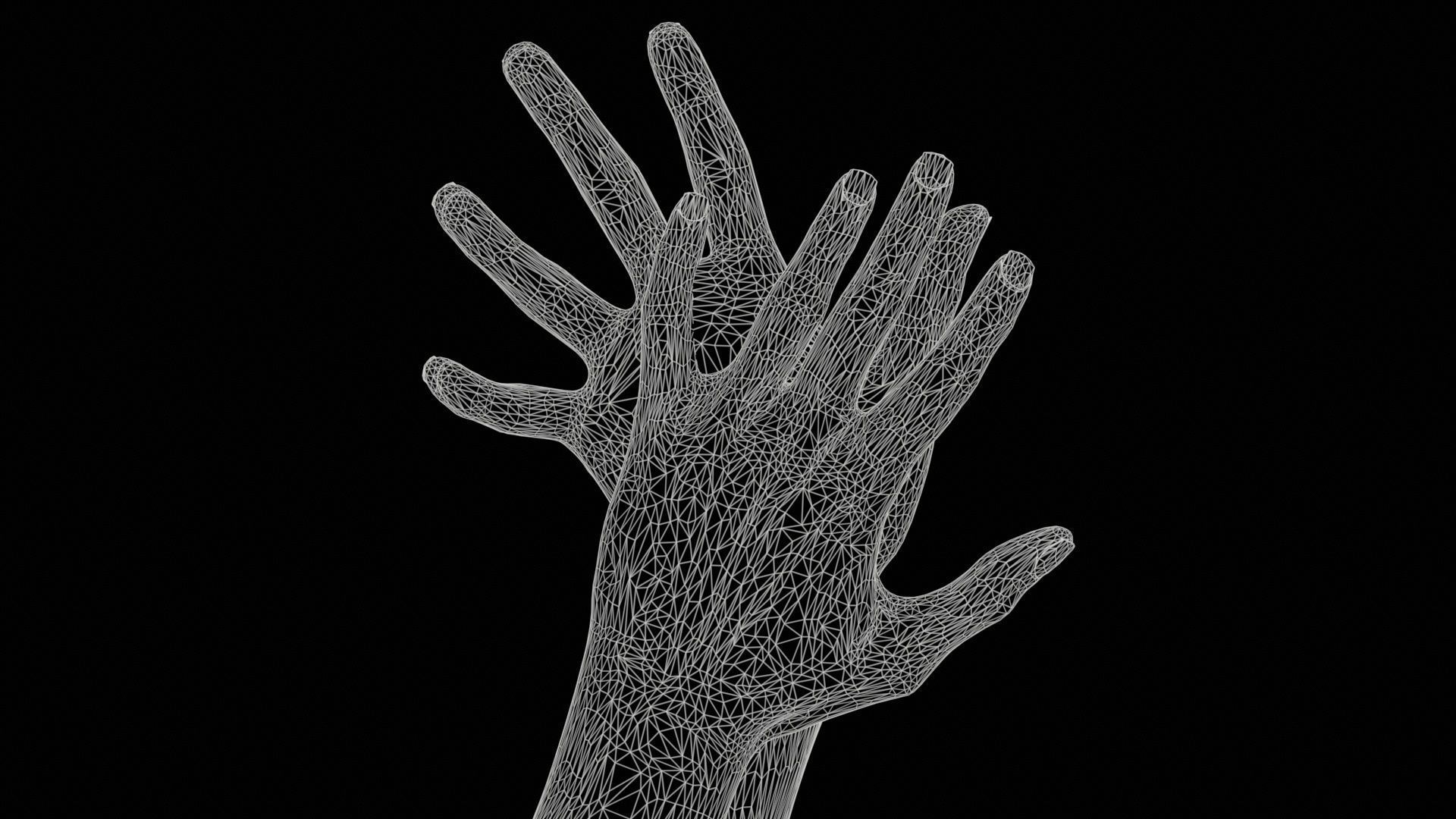 Duo Hands 027 Low-poly 3D model_11