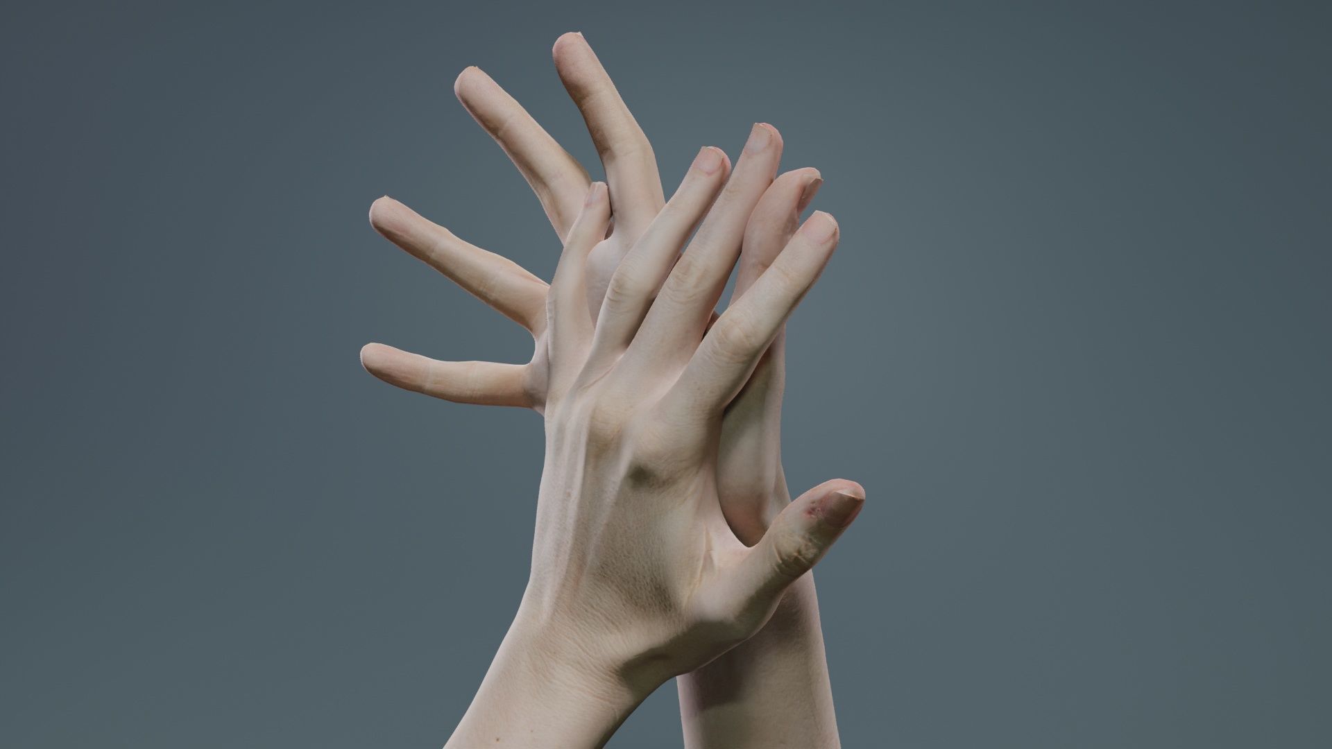 Duo Hands 027 Low-poly 3D model_1
