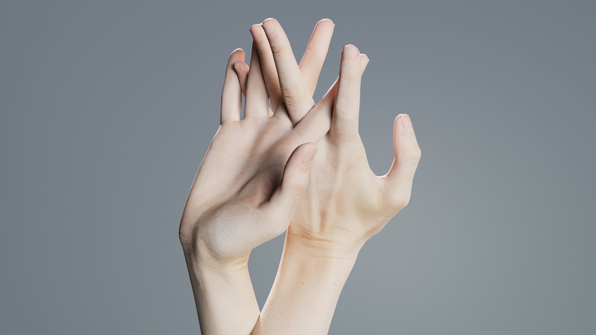Duo Hands 028 Low-poly 3D model_7