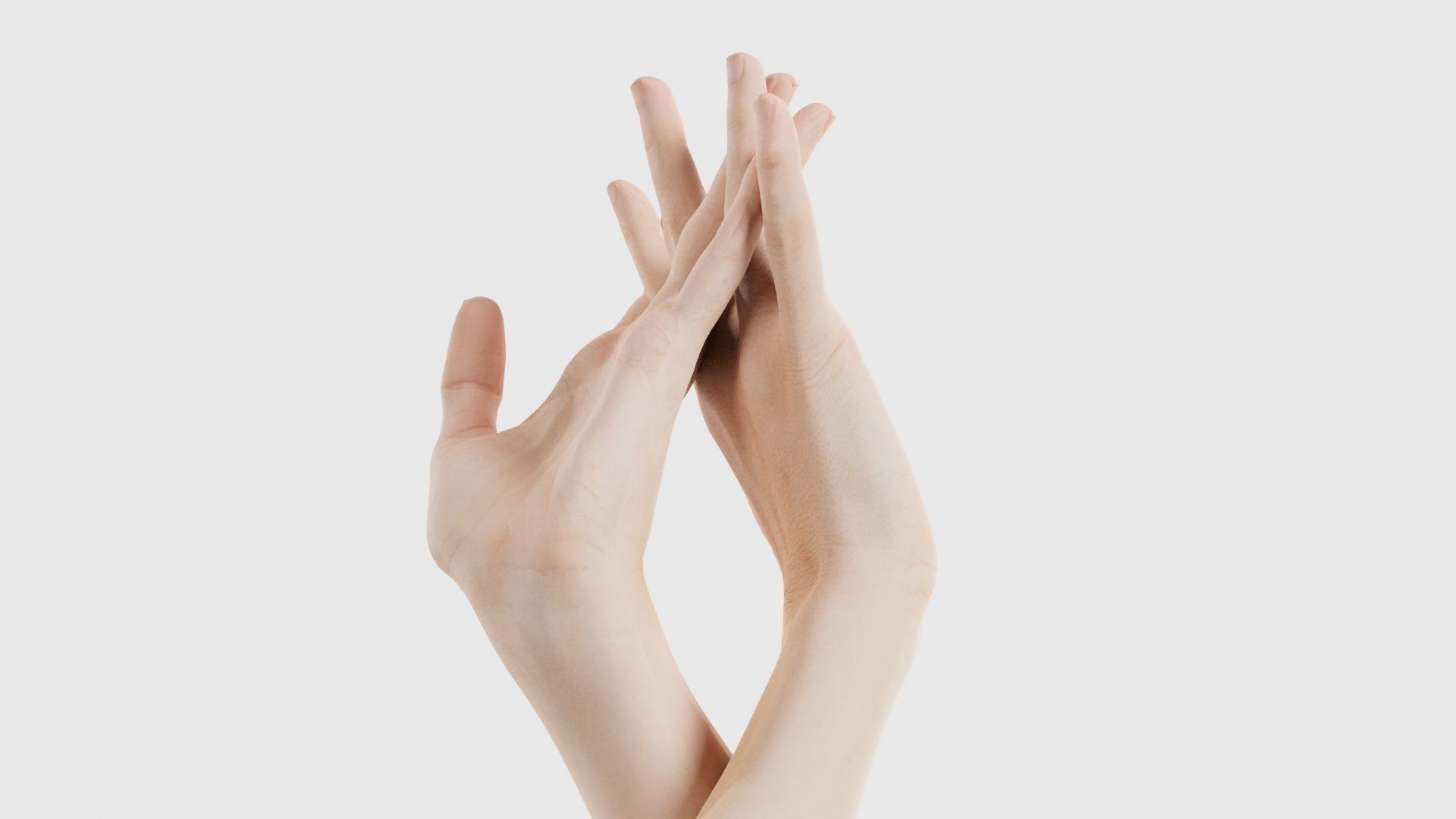 Duo Hands 028 Low-poly 3D model_20