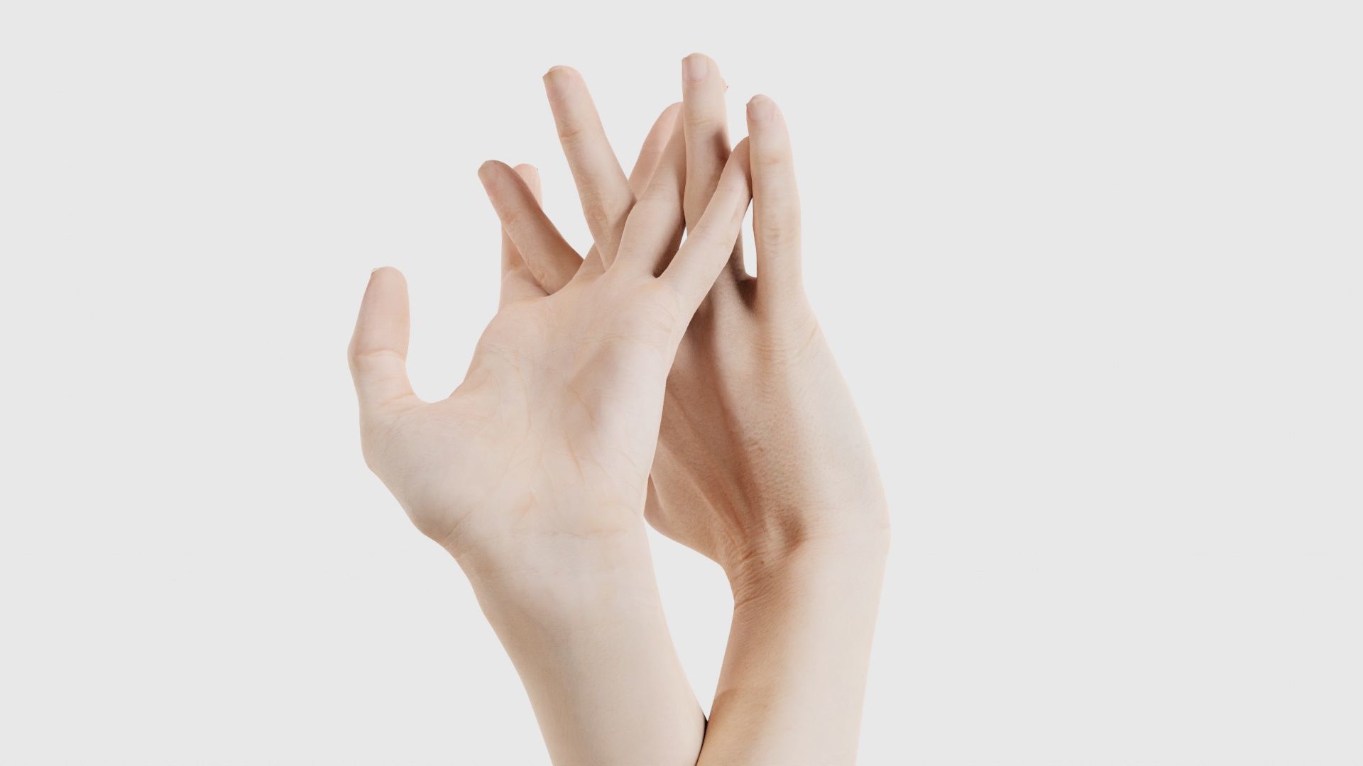Duo Hands 028 Low-poly 3D model_21
