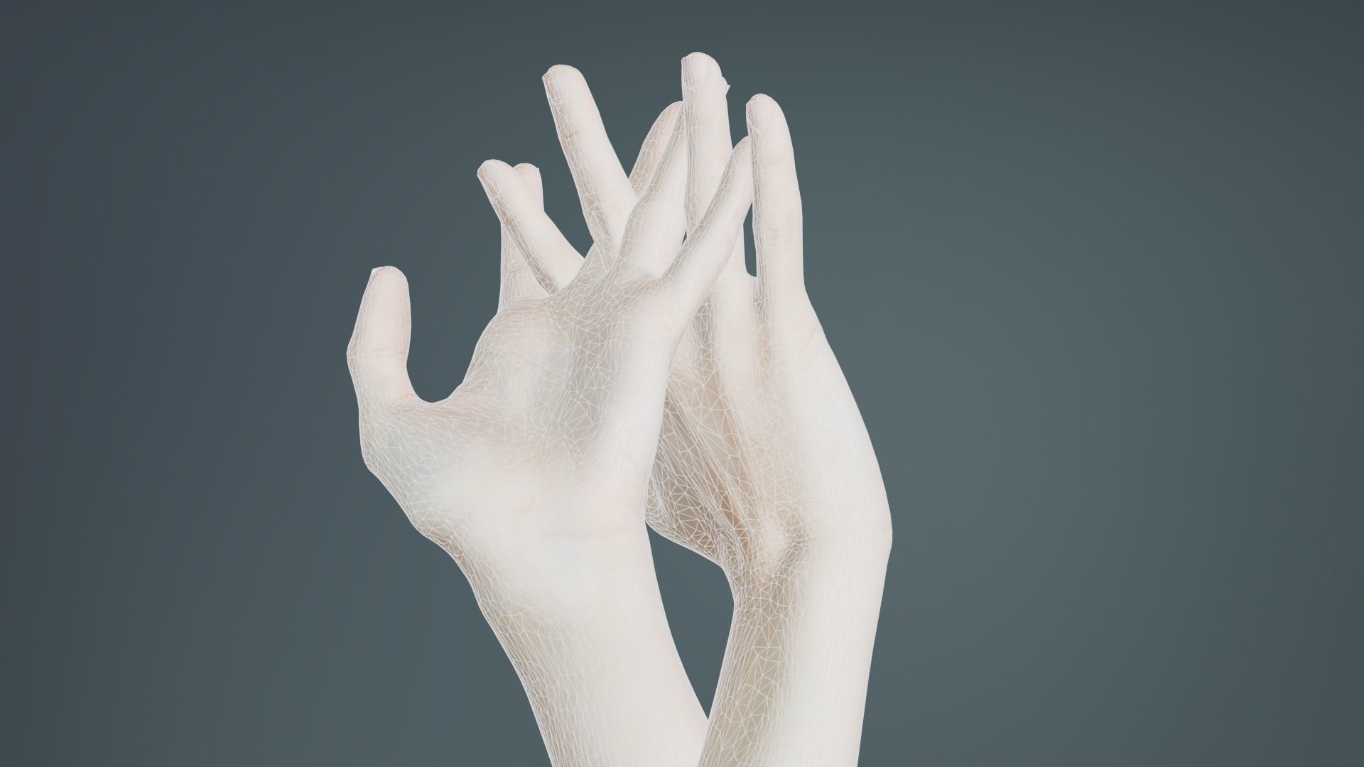 Duo Hands 028 Low-poly 3D model_10