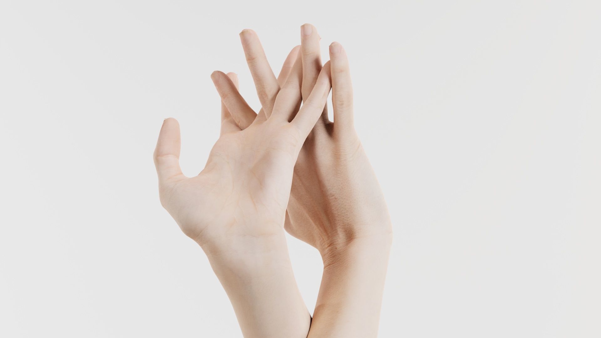 Duo Hands 028 Low-poly 3D model_4