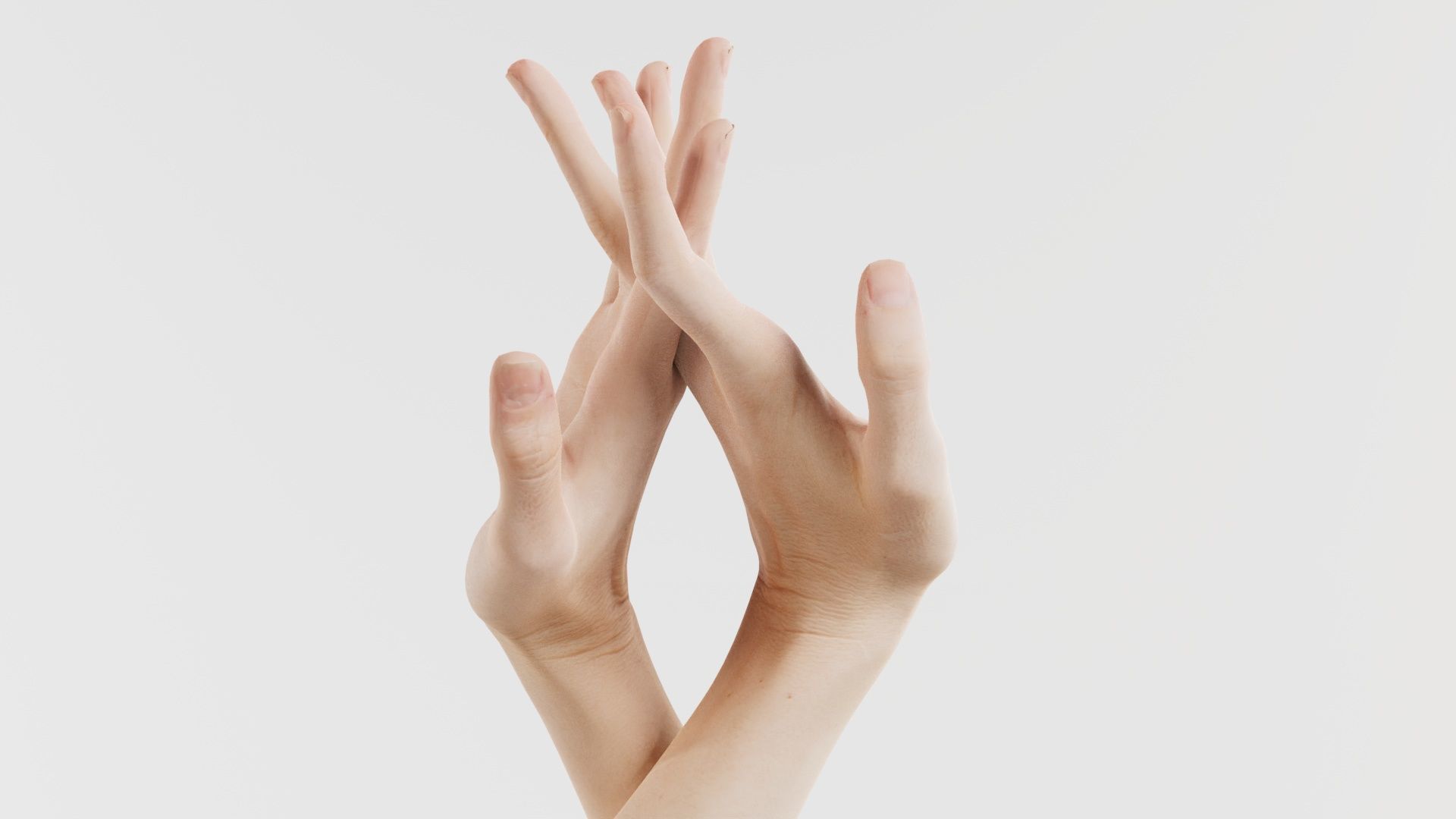 Duo Hands 028 Low-poly 3D model_6