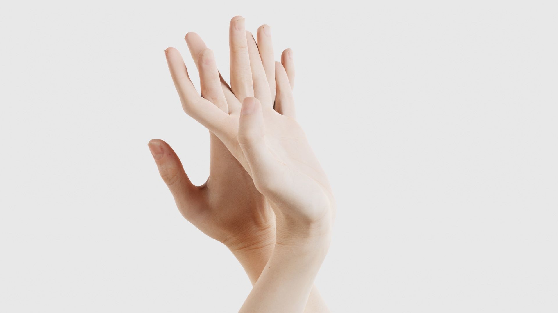 Duo Hands 028 Low-poly 3D model_24