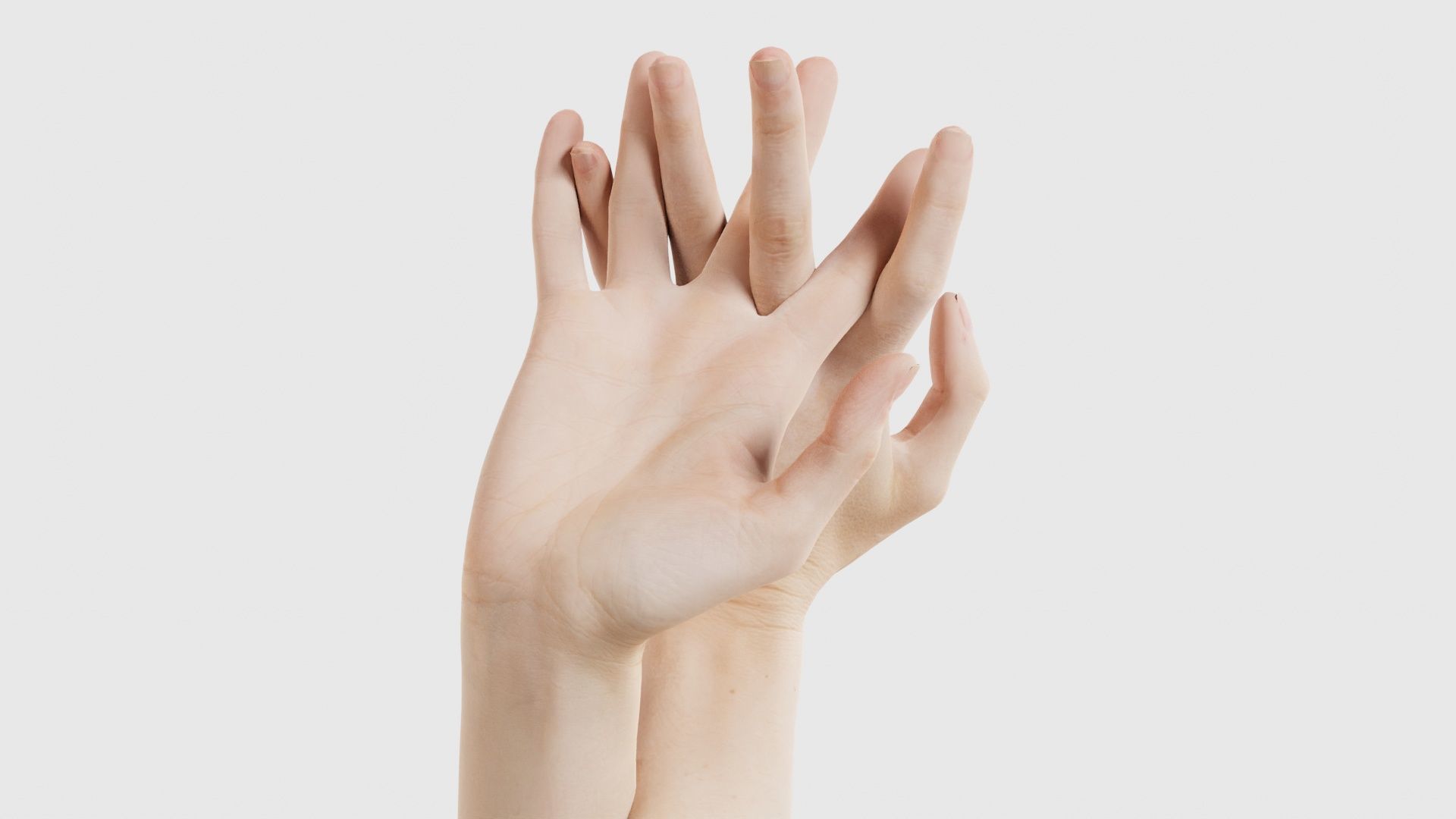 Duo Hands 028 Low-poly 3D model_16