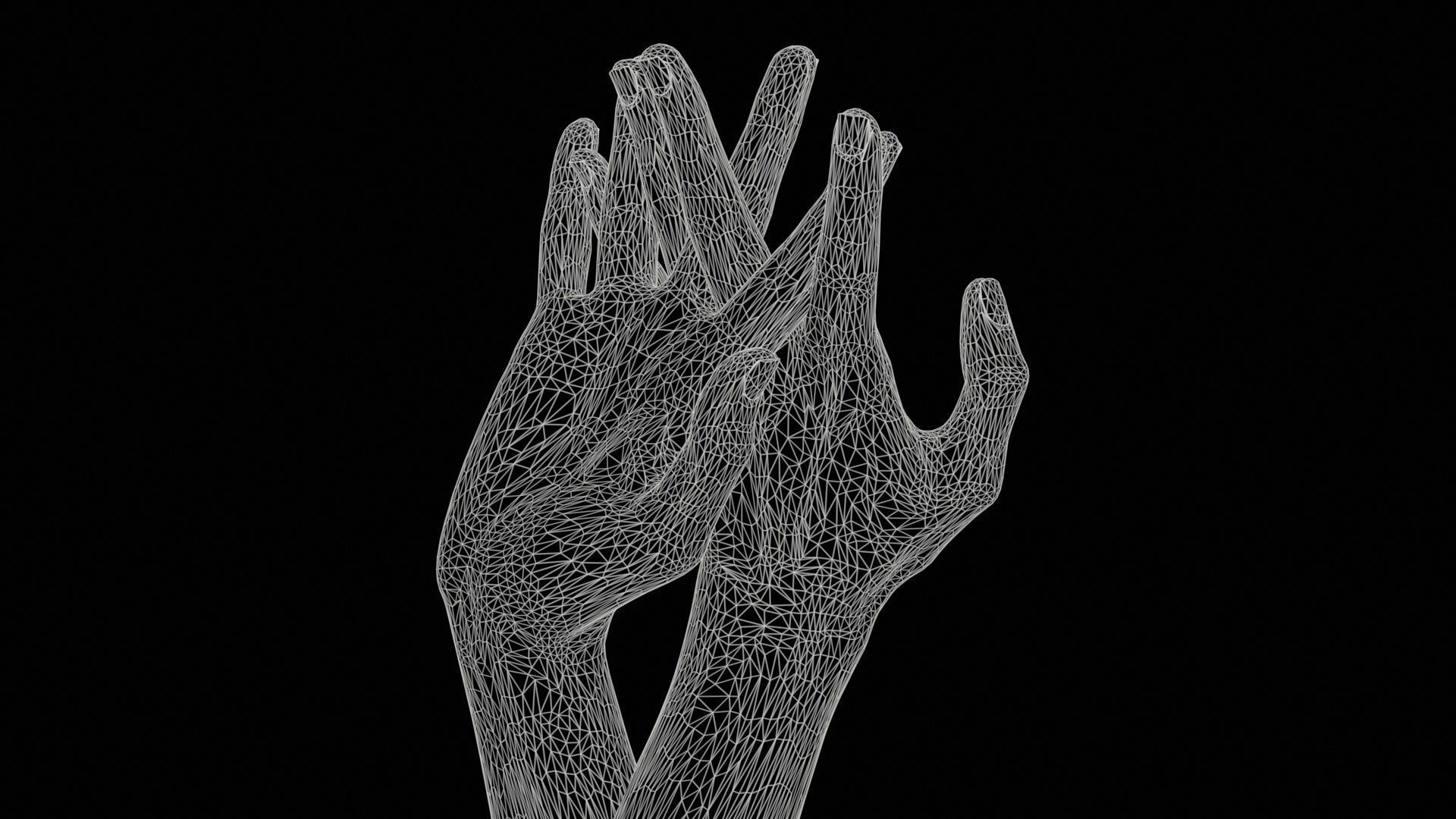 Duo Hands 028 Low-poly 3D model_11