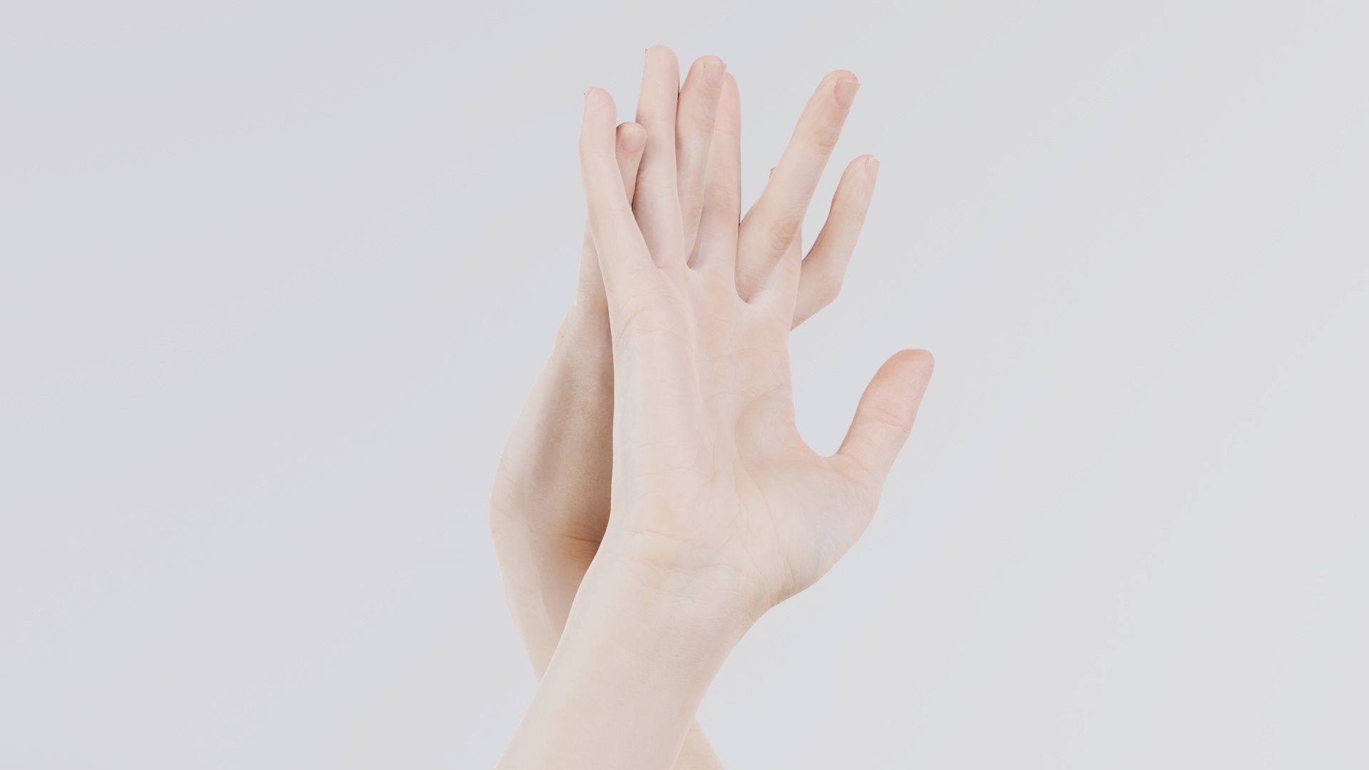 Duo Hands 028 Low-poly 3D model_2