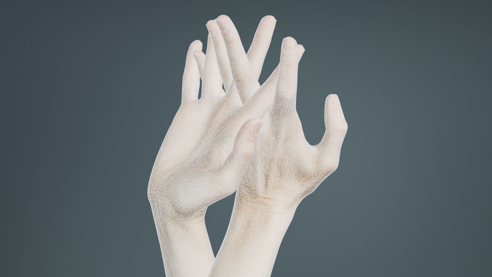 Duo Hands 028 Low-poly 3D model_9