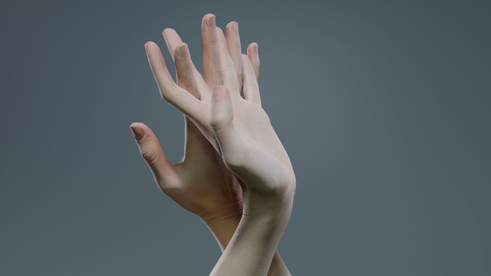Duo Hands 028 Low-poly 3D model_3