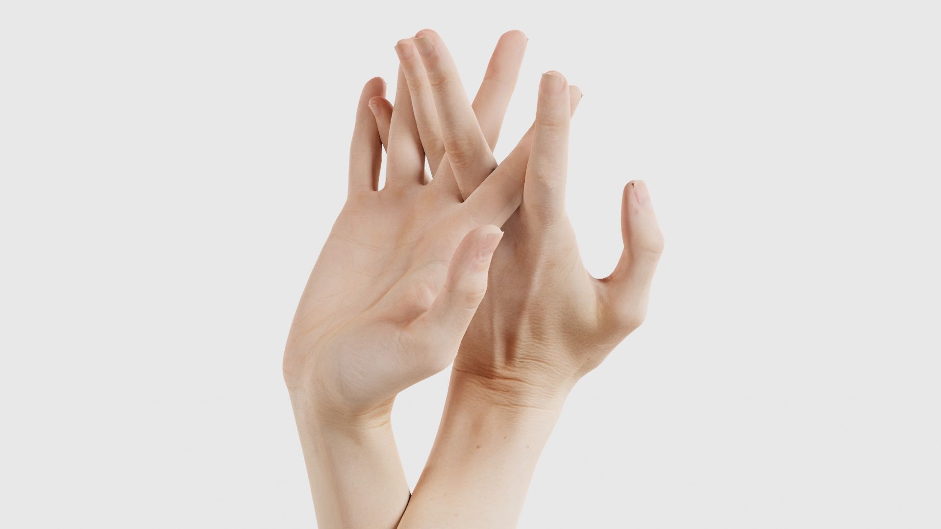 Duo Hands 028 Low-poly 3D model_15