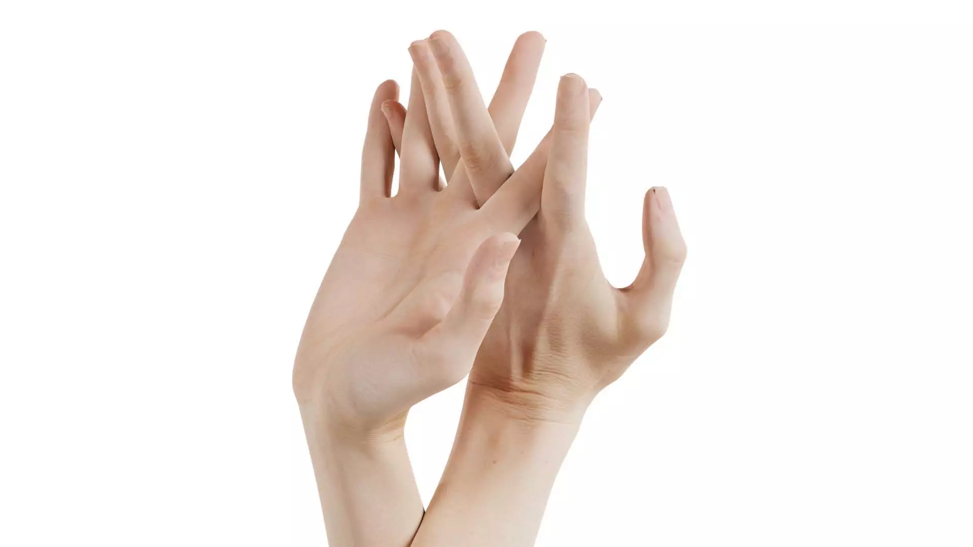 Duo Hands 028 Low-poly 3D model_0